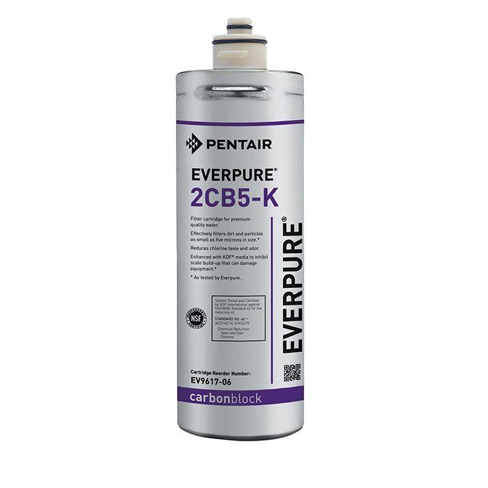 Everpure 2CB5-K Replacement Filter