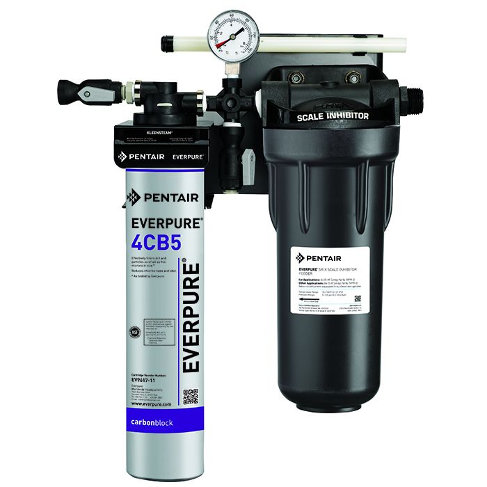 Everpure Kleensteam System CT