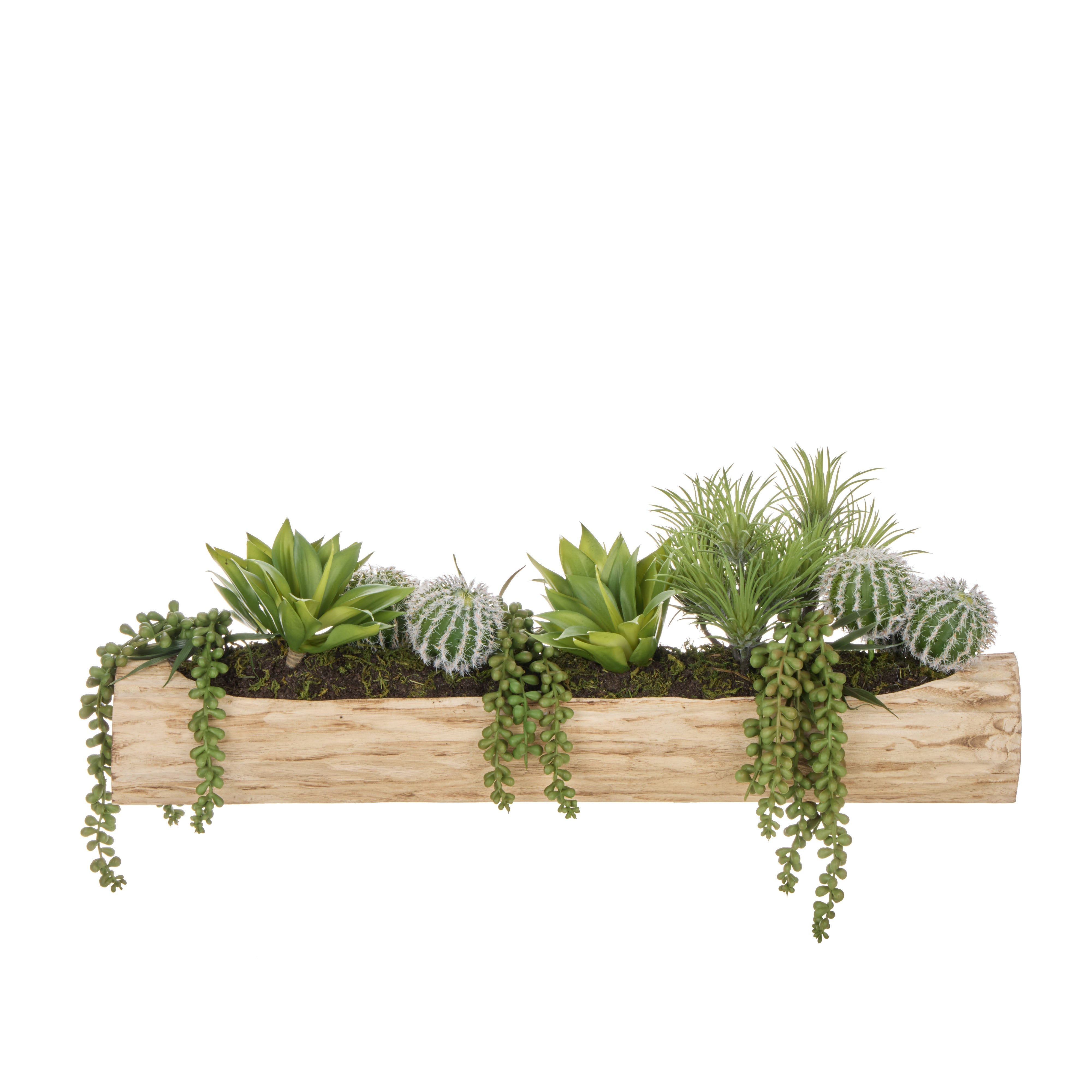 Rogue Cactus Air Plant Mix - Timber Planter Green & Natural