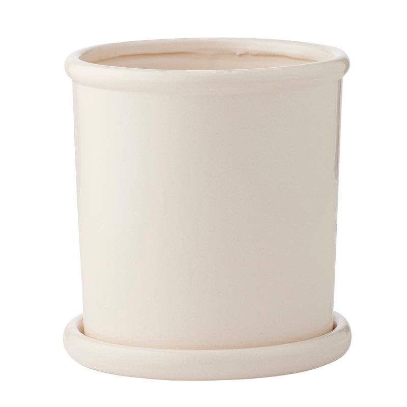 Life Botanic Andromeda Ceramic Pot 24x22.5cm Ivory