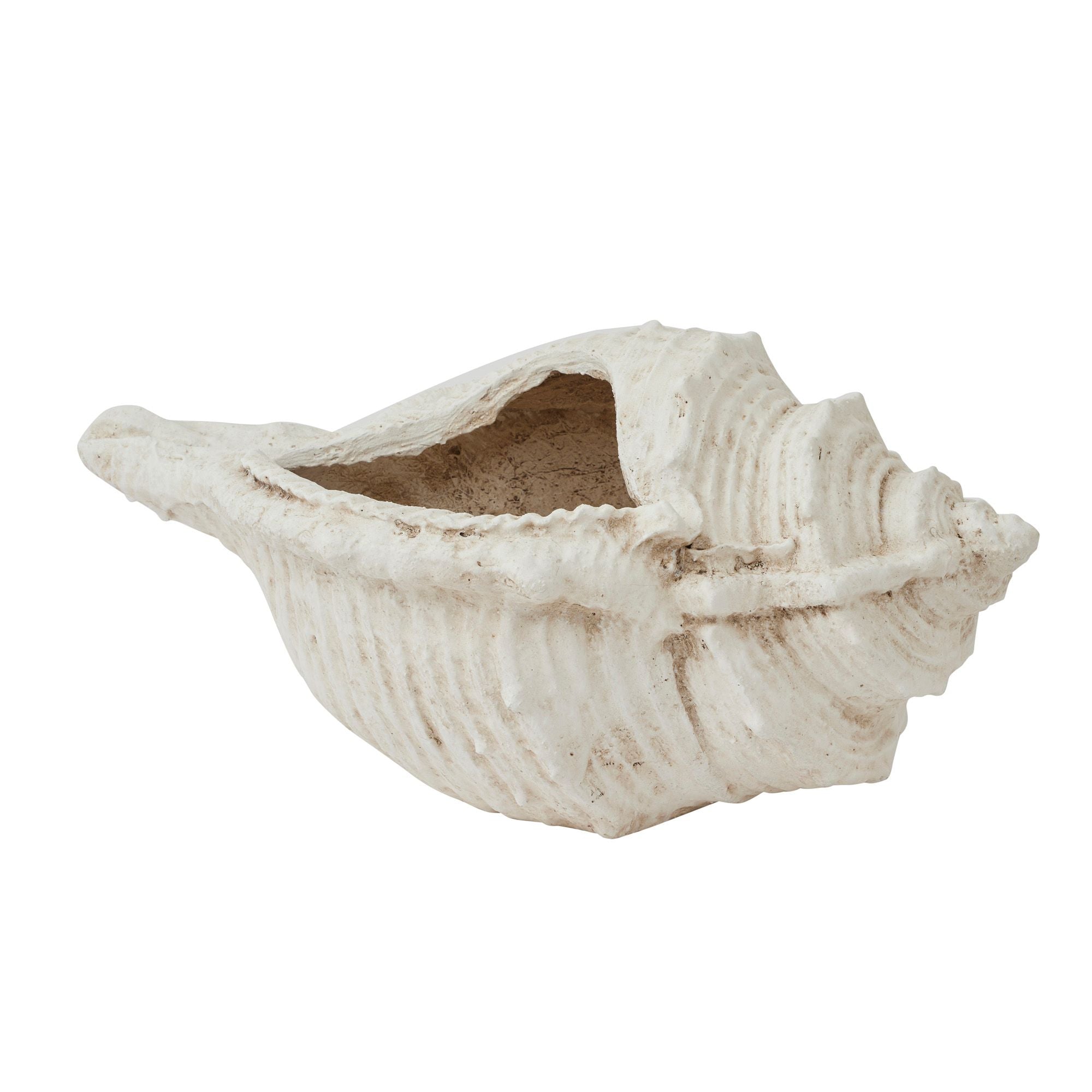 Life Botanic Conch Shell Composite Pot White