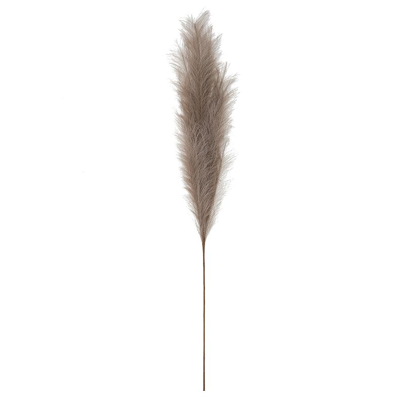 Life Botanic Faux Pampass Grass Mushroom 130cm