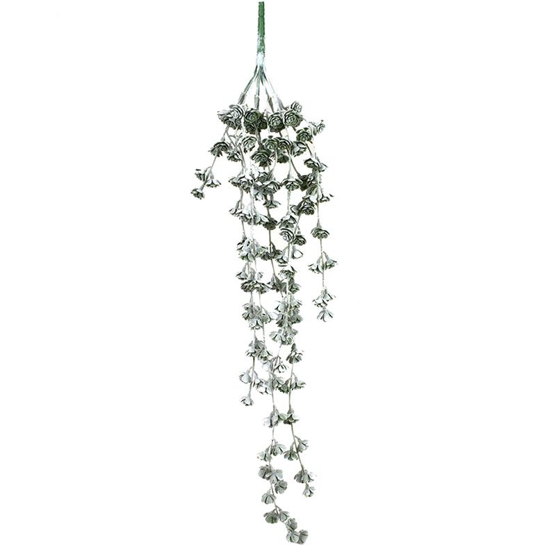Life Botanic Sedum Hanging Succulent Stem