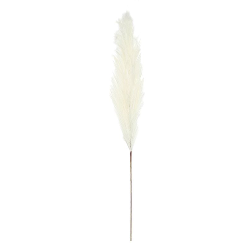 Life Botanic Faux Pampas Grass Natural 130cm