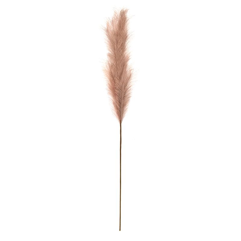 Life Botanic Faux Pampas Grass Blush 130cm