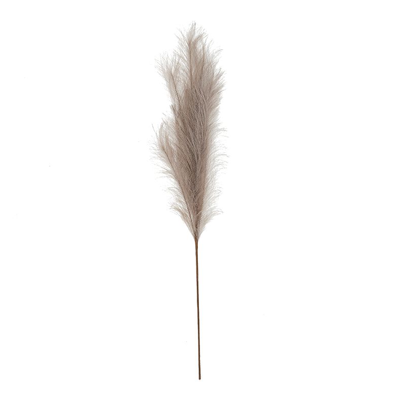 Life Botanic Faux Pampass Grass Mushroom 100cm
