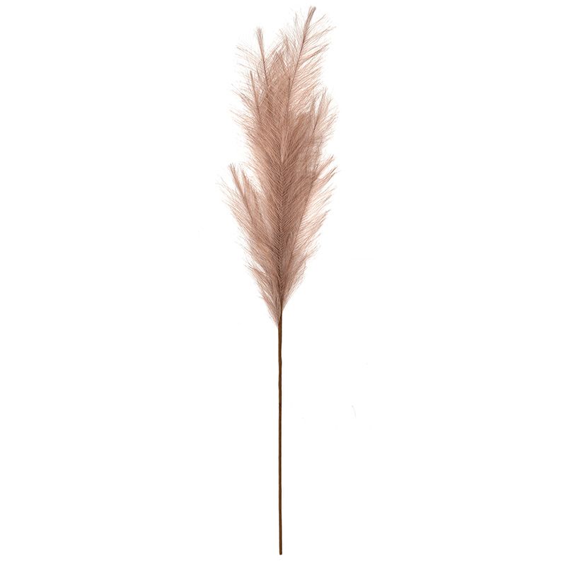 Life Botanic Faux Pampas Grass Blush 100cm