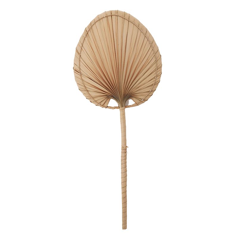Coast To Coast Nyla Palm Leaf Fan 30x71cm Natural