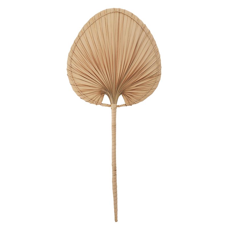 Coast To Coast Nyla Palm Leaf Fan 41x93cm Natural