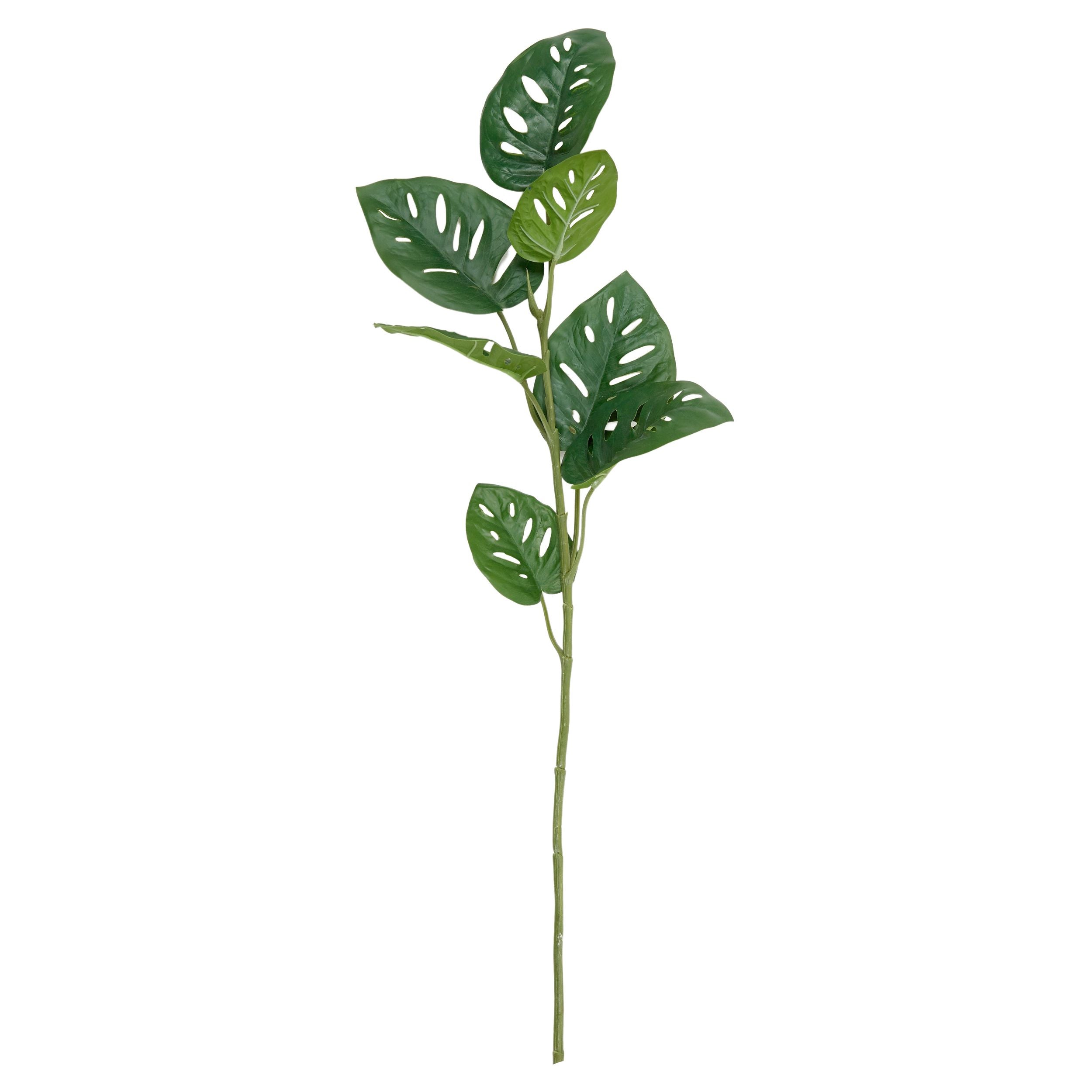 Life Botanic Monstera Ardanspni Real Touch Stem