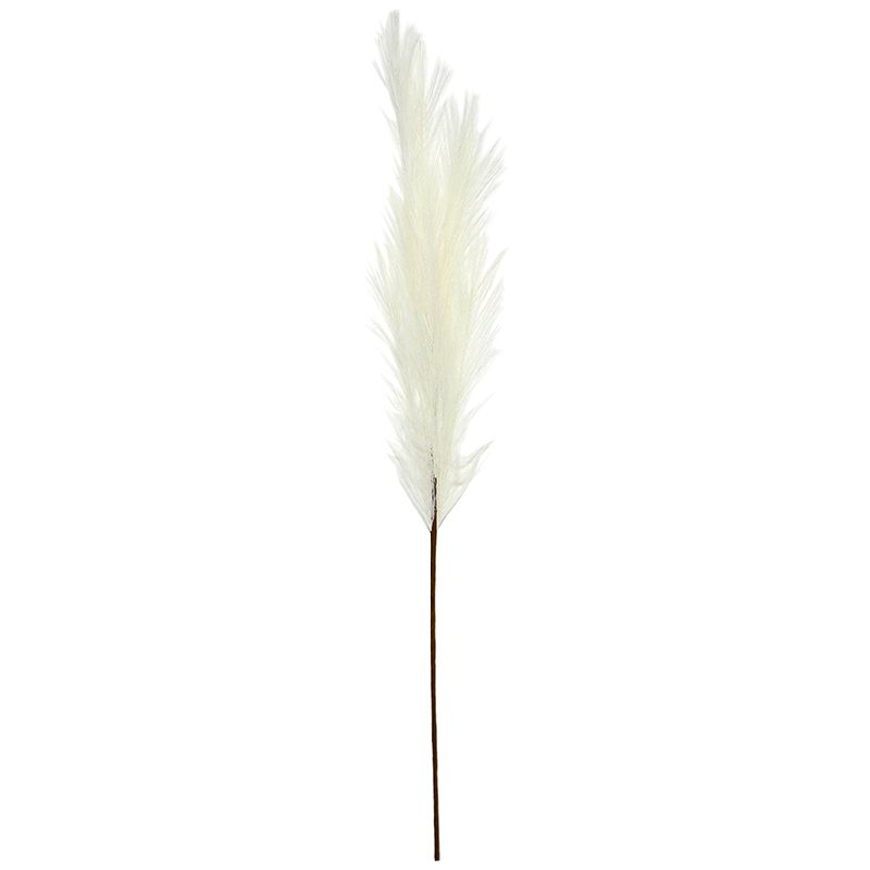 Life Botanic Faux Pampas Grass Natural 100cm
