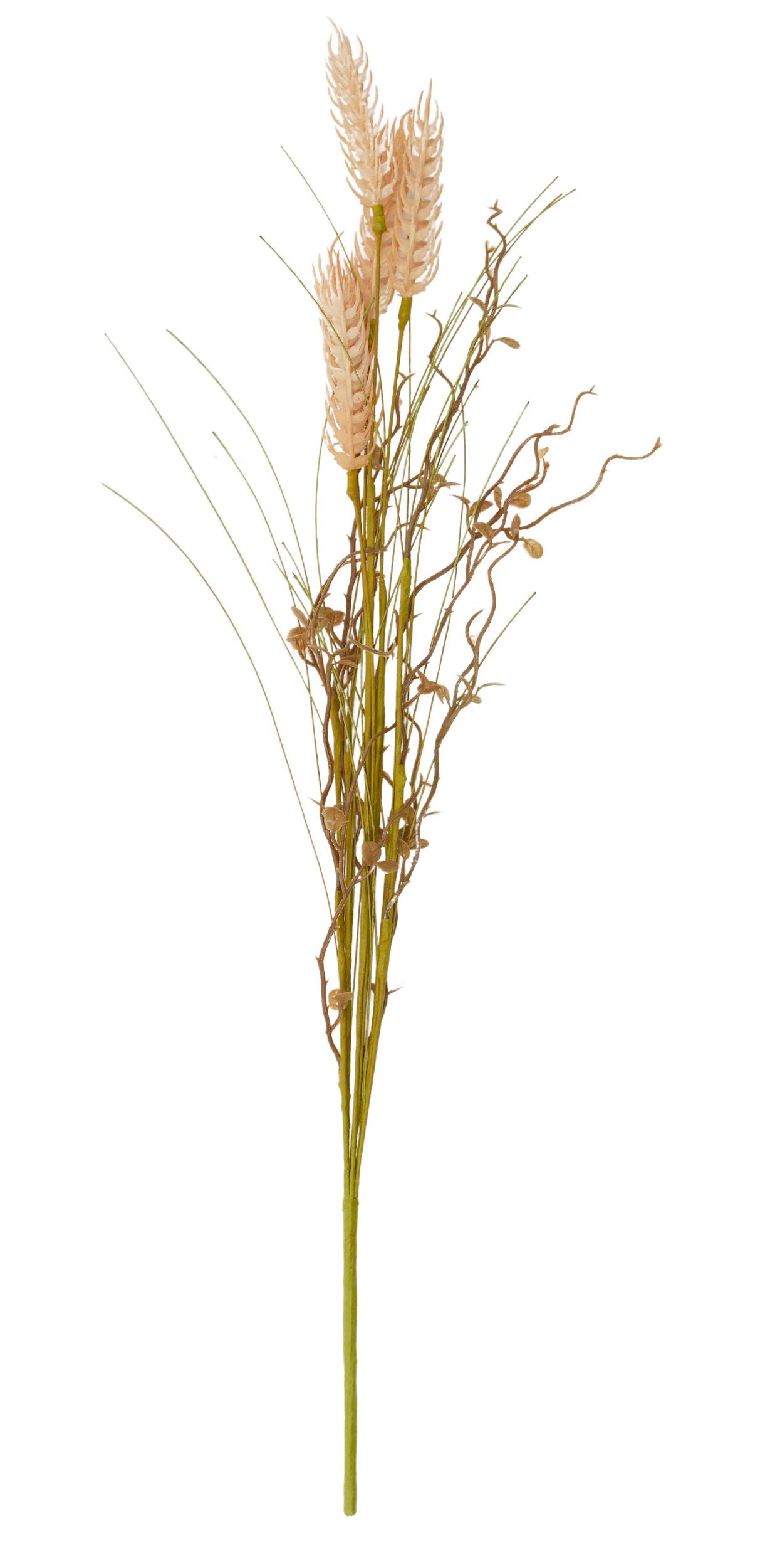 Life Botanic Wild Flower and Grass Stem Natural