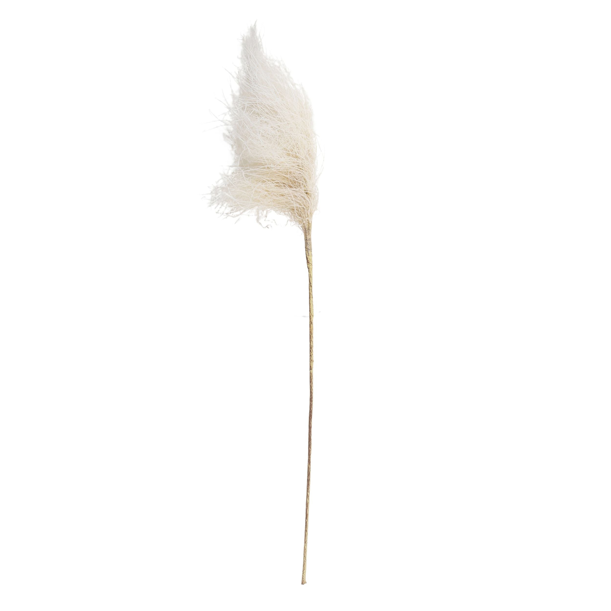 Life Botanic Faux Reed Grass Spray Cream