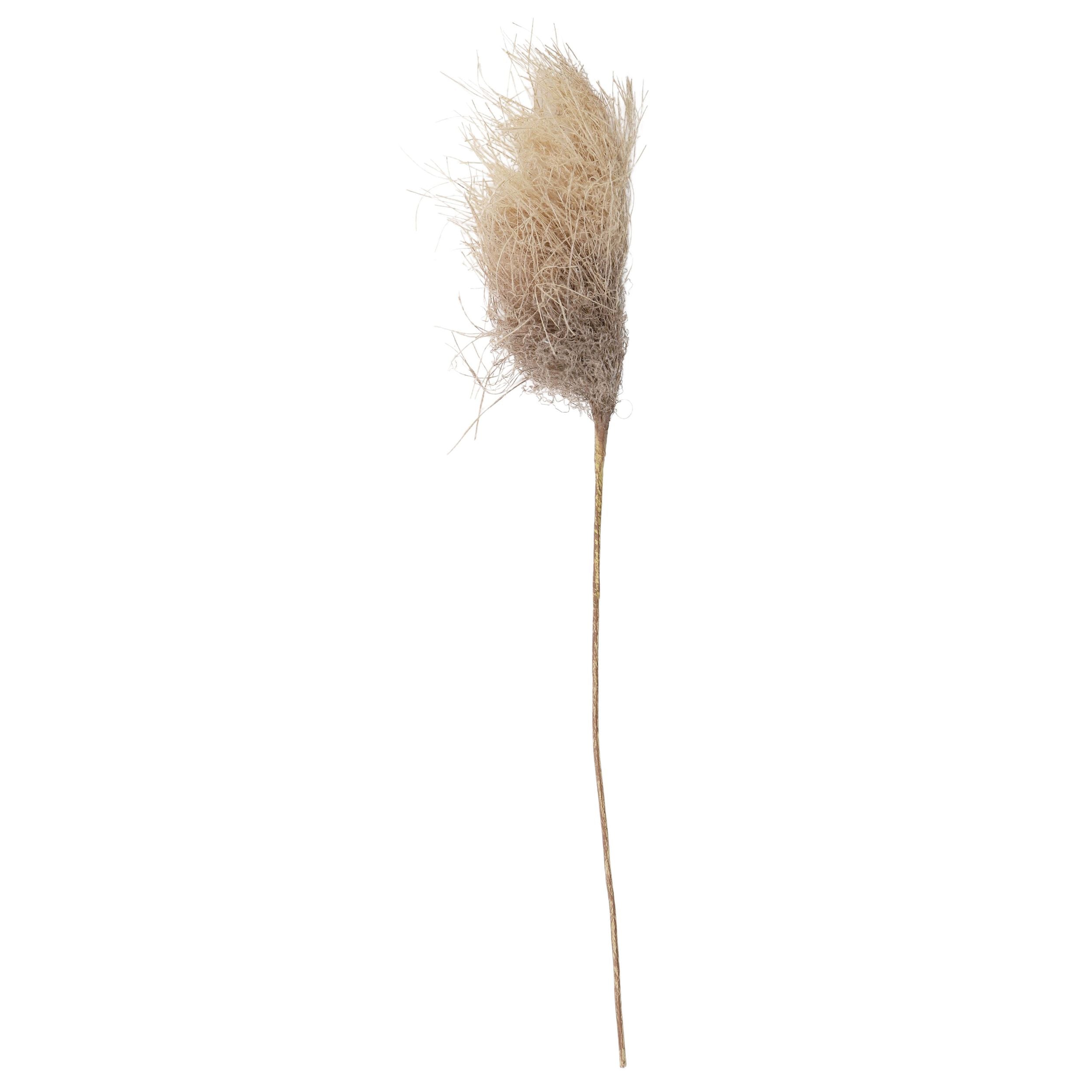 Life Botanic Faux Reed Grass Spray Almond