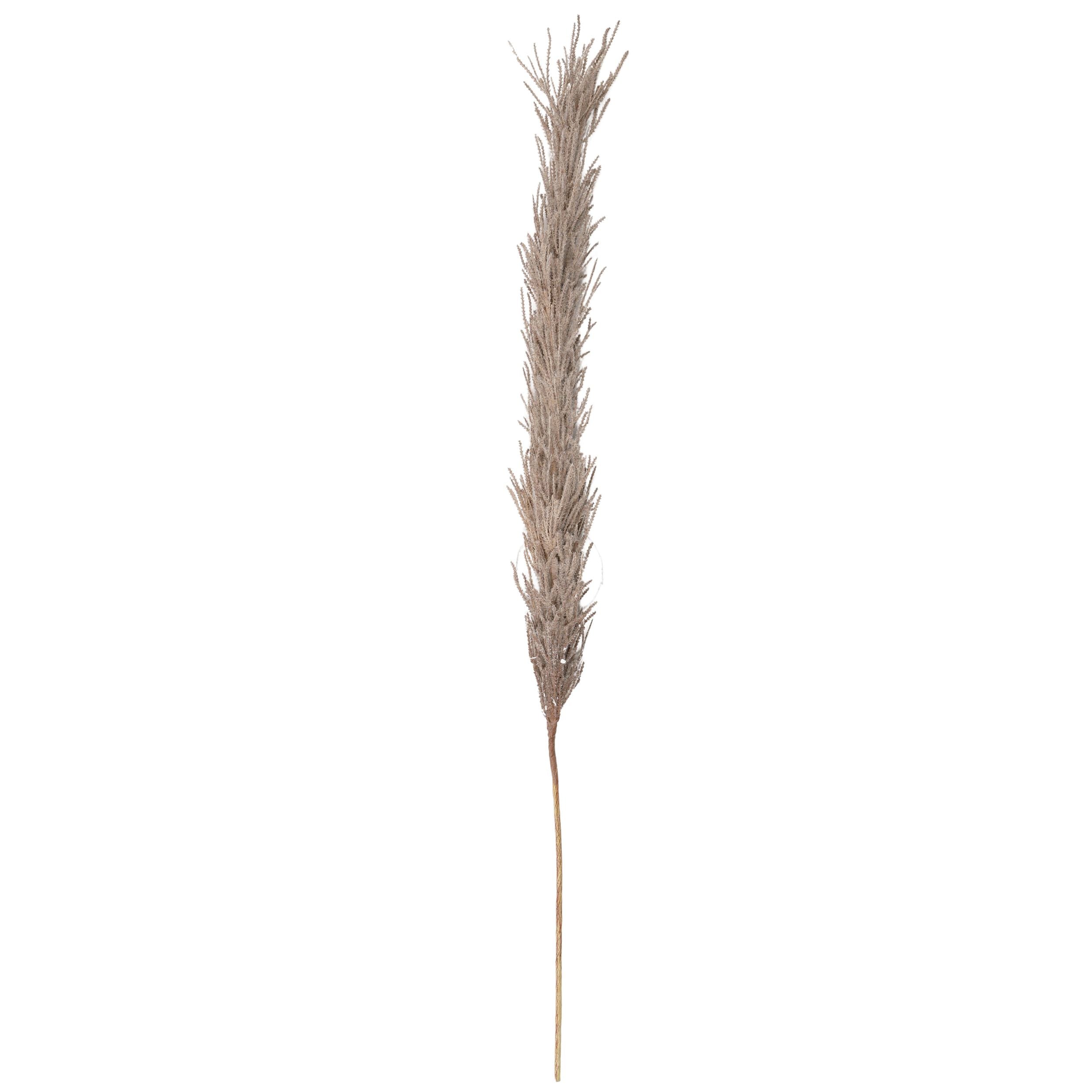 Life Botanic Faux Pampas Spray Fawn