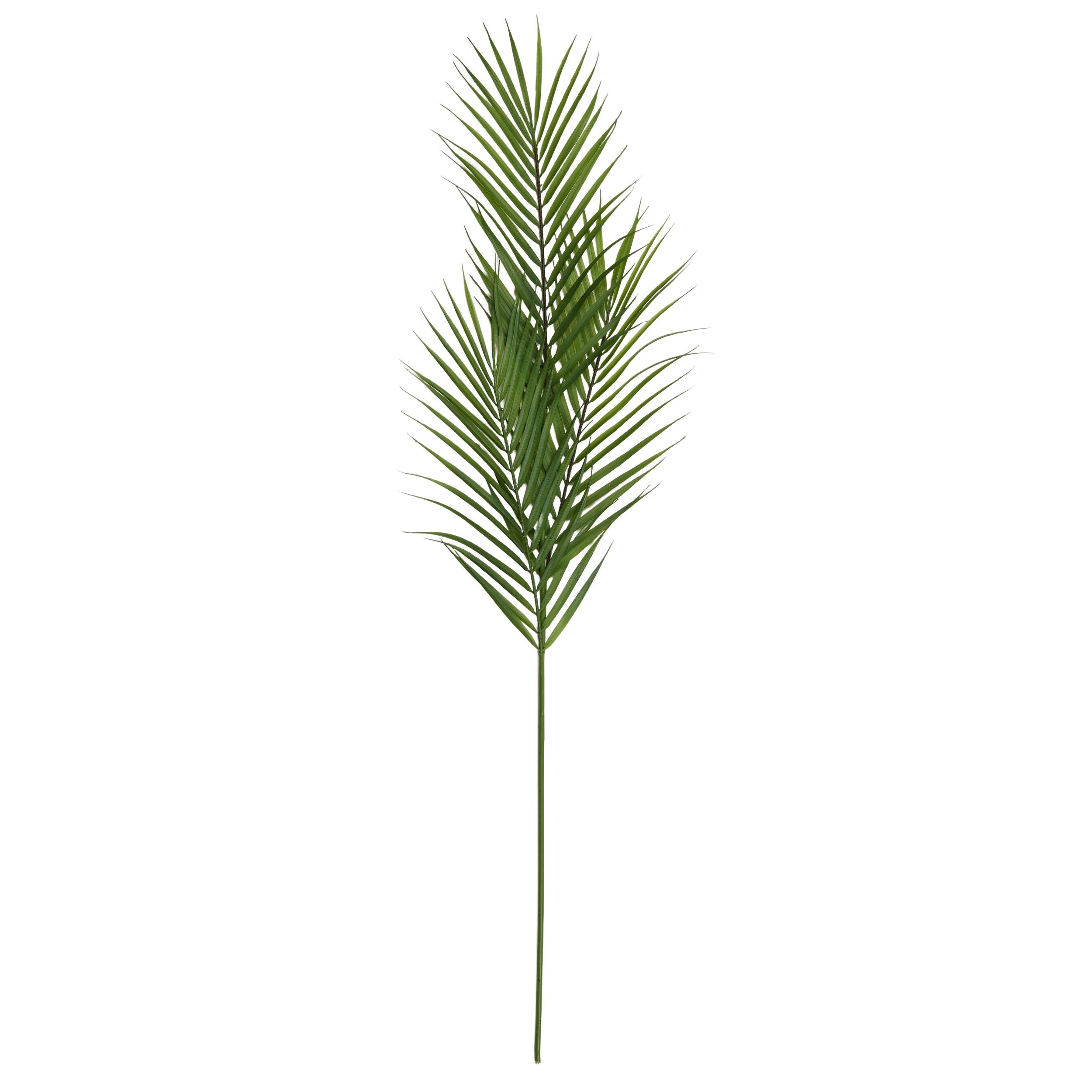 Life Botanic Areca Palm Stem Green