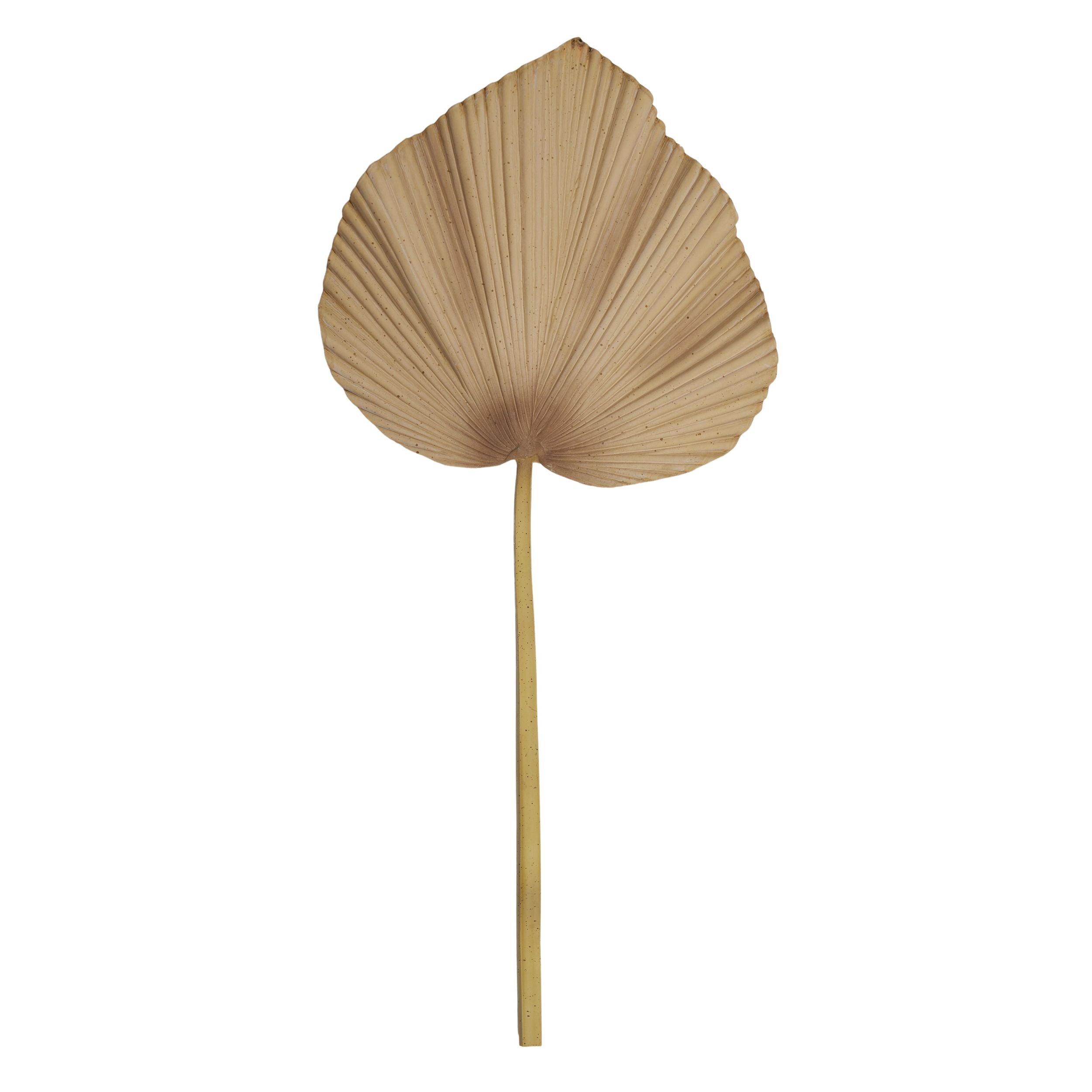 Life Botanic Sabal Palm Stem Natural