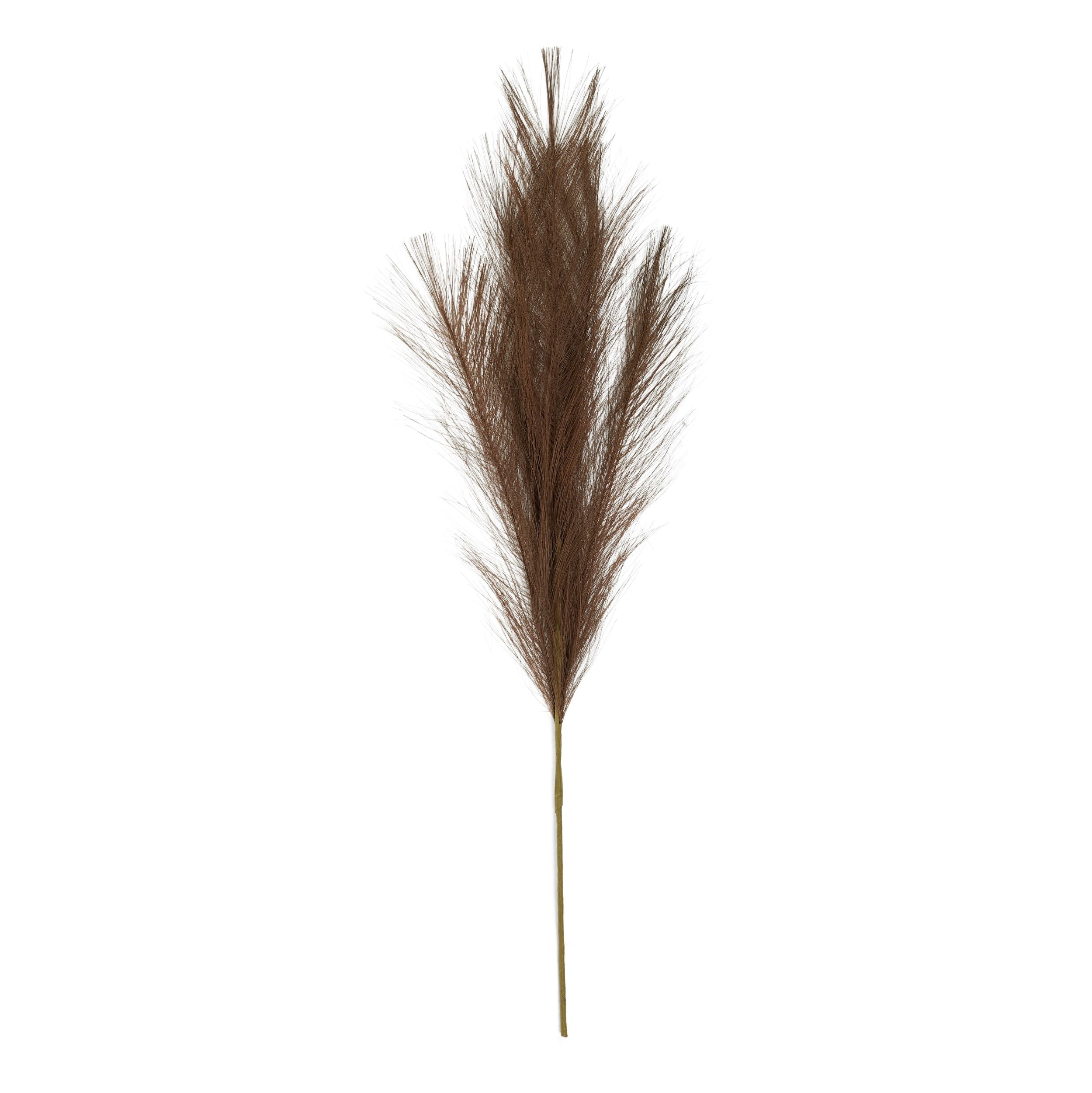 Life Botanic Faux Pampass Grass 70cm Walnut