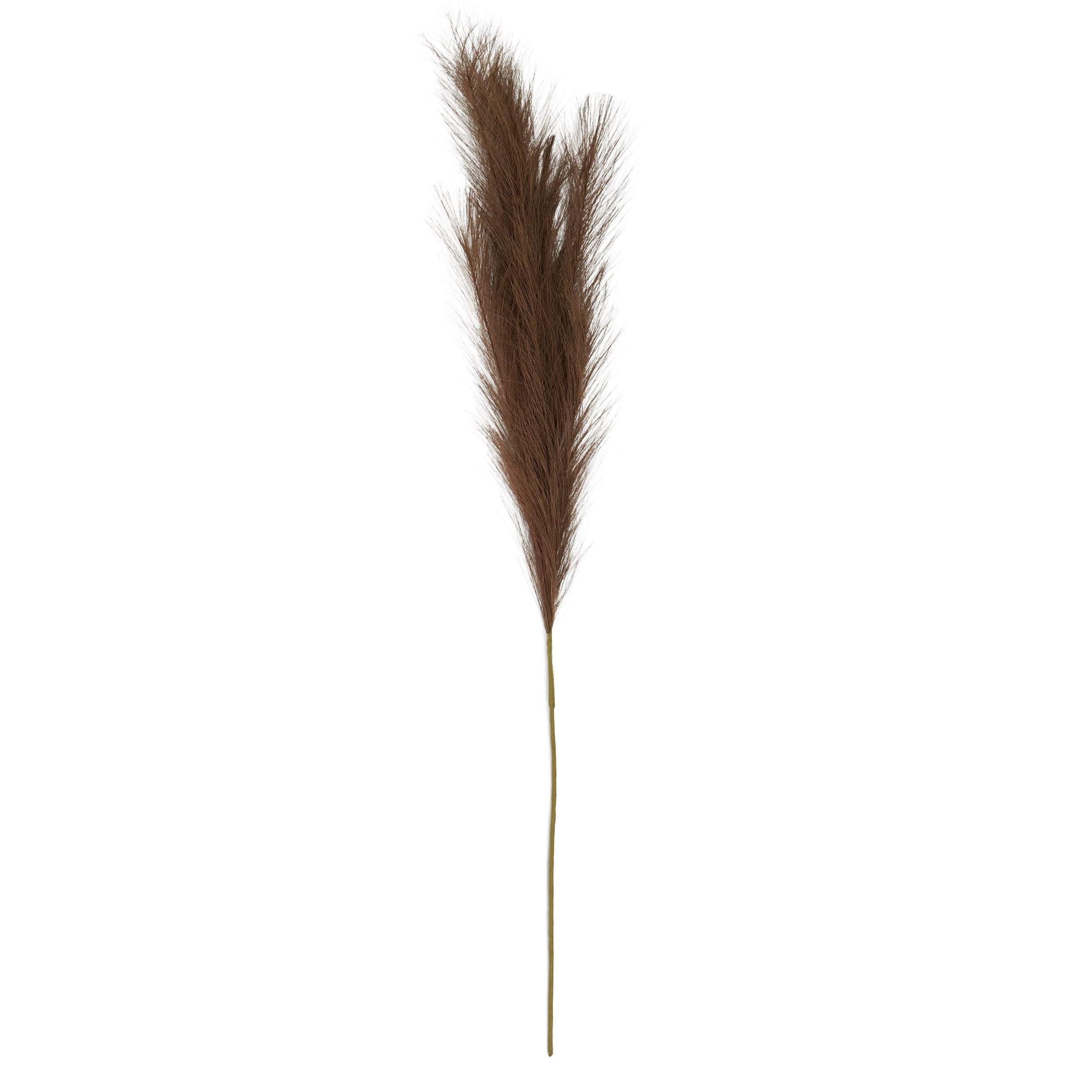 Life Botanic Faux Pampass Grass 100cm Walnut