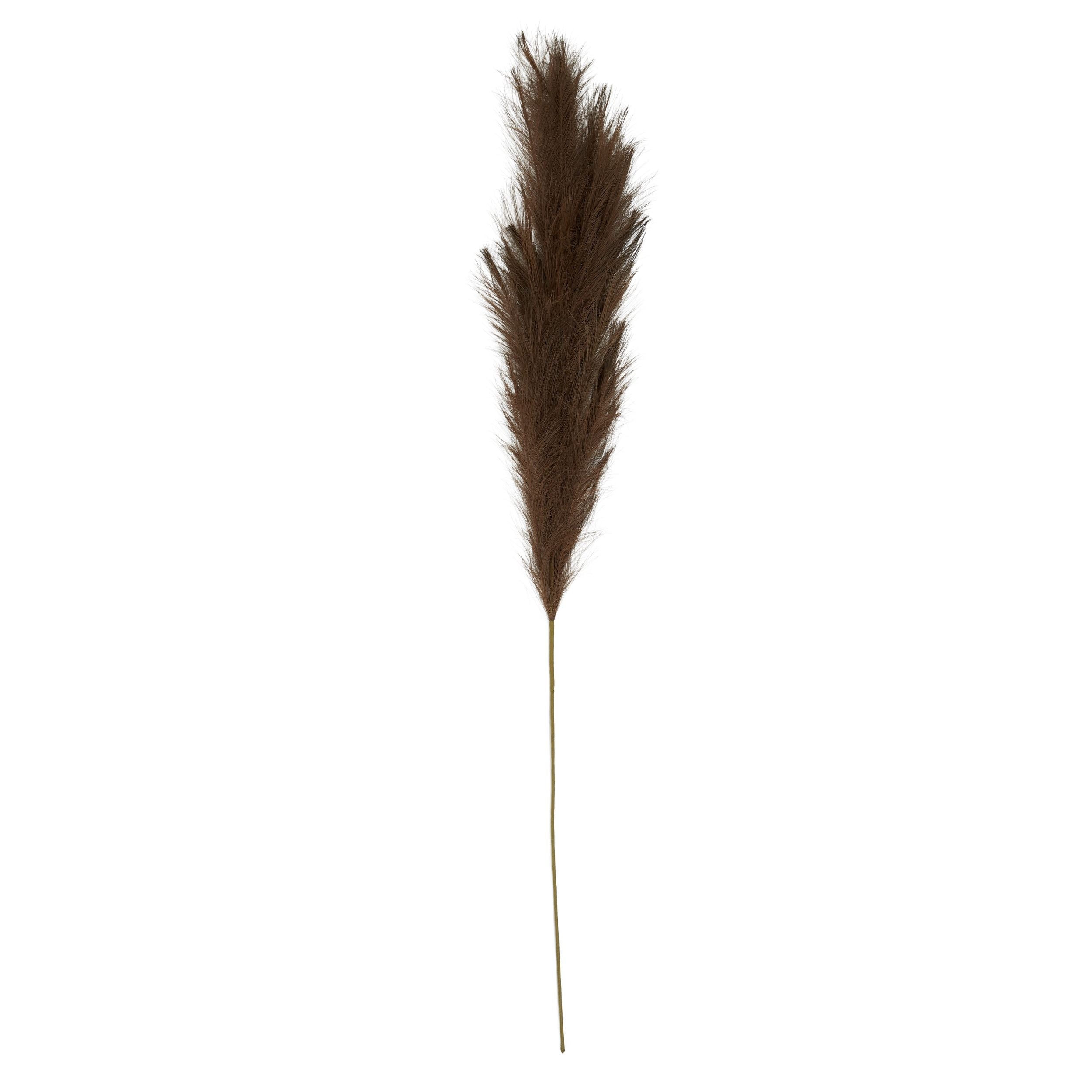 Life Botanic Faux Pampass Grass 130cm Walnut
