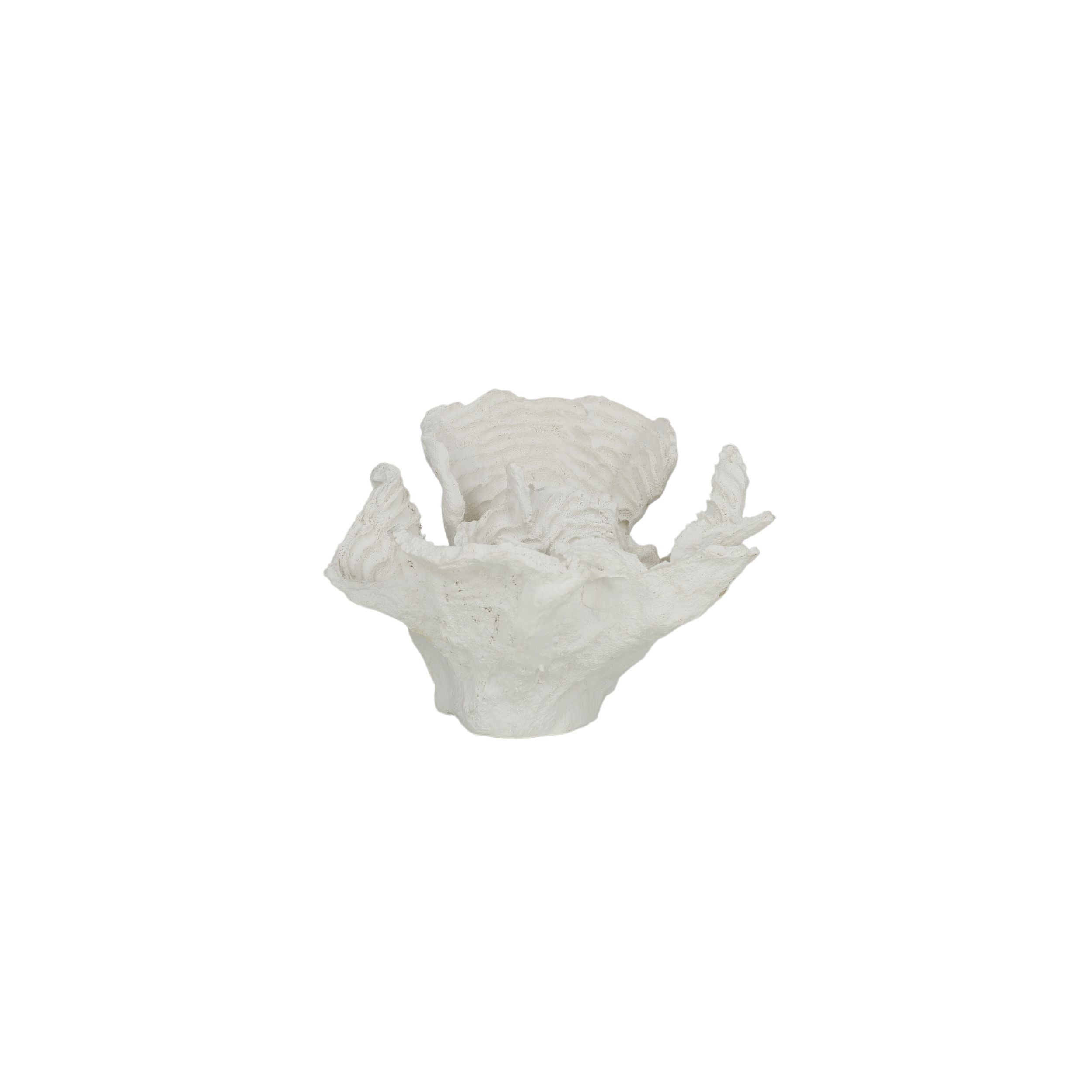 Coast To Coast Foliose Coral Resin Sculpture 15x15x10cm White