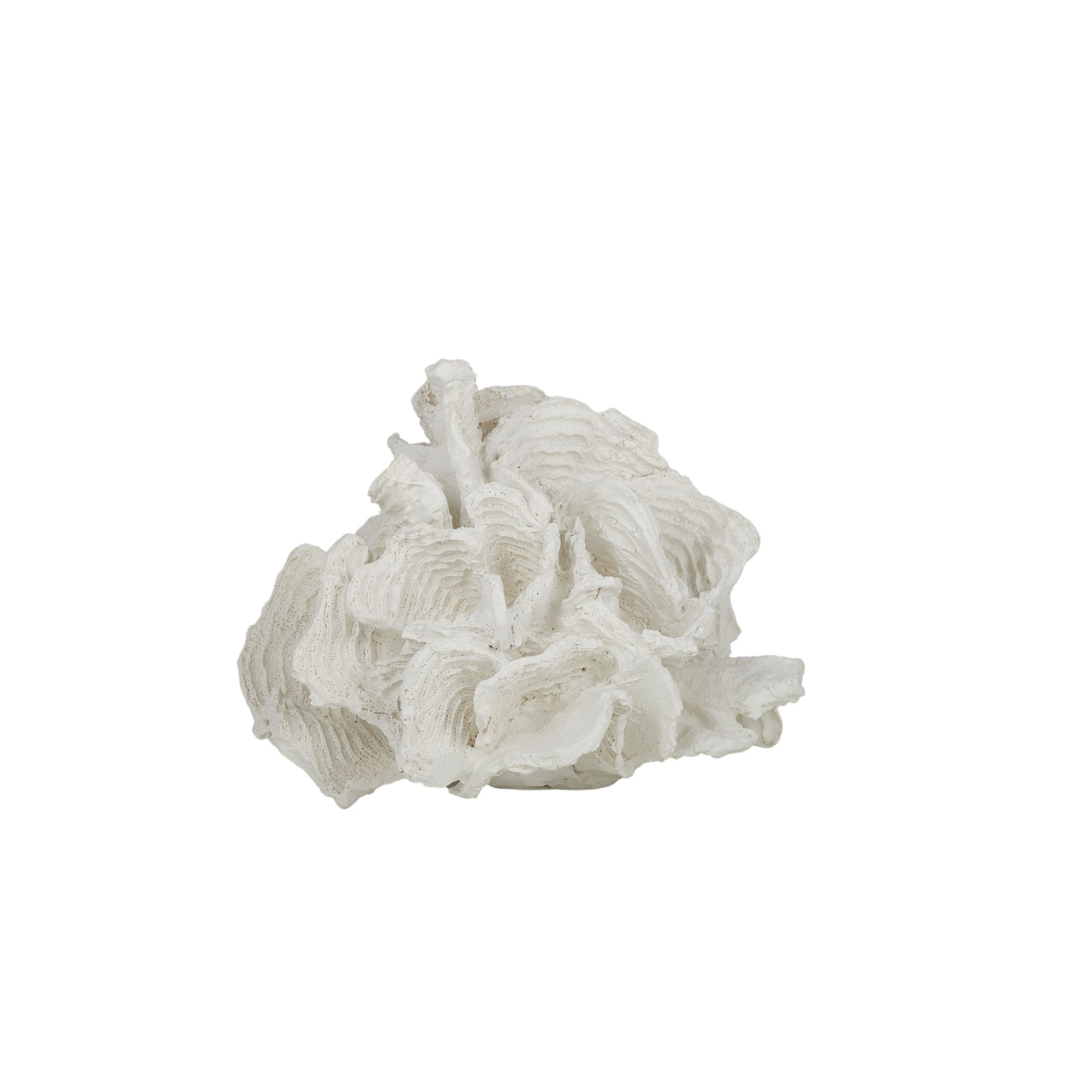 Coast To Coast Foliose Coral Resin Sculpture 20x18x16cm White