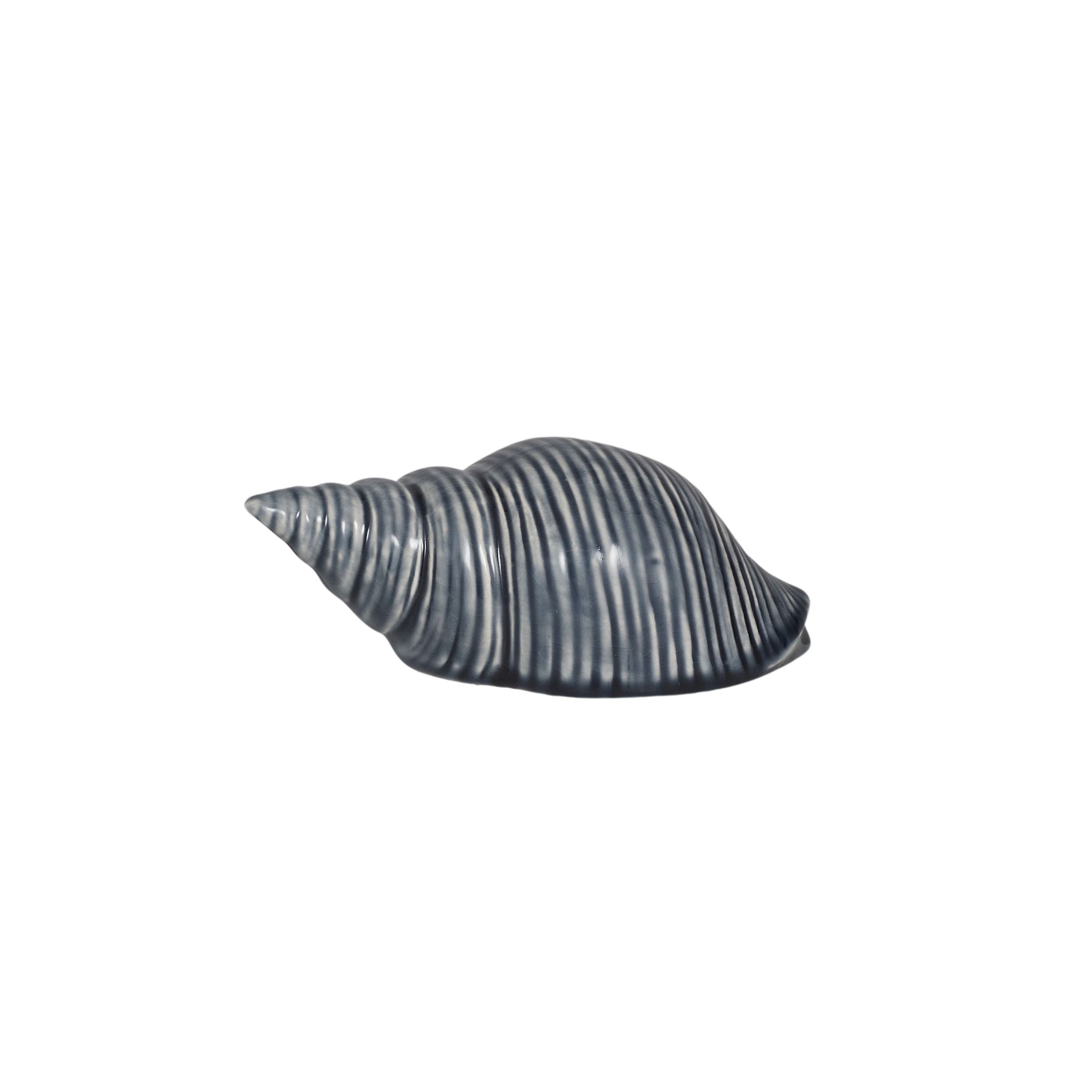 Coast To Coast Sea Snail Ceramic Shell Sculpture 14x7x5cm Blue