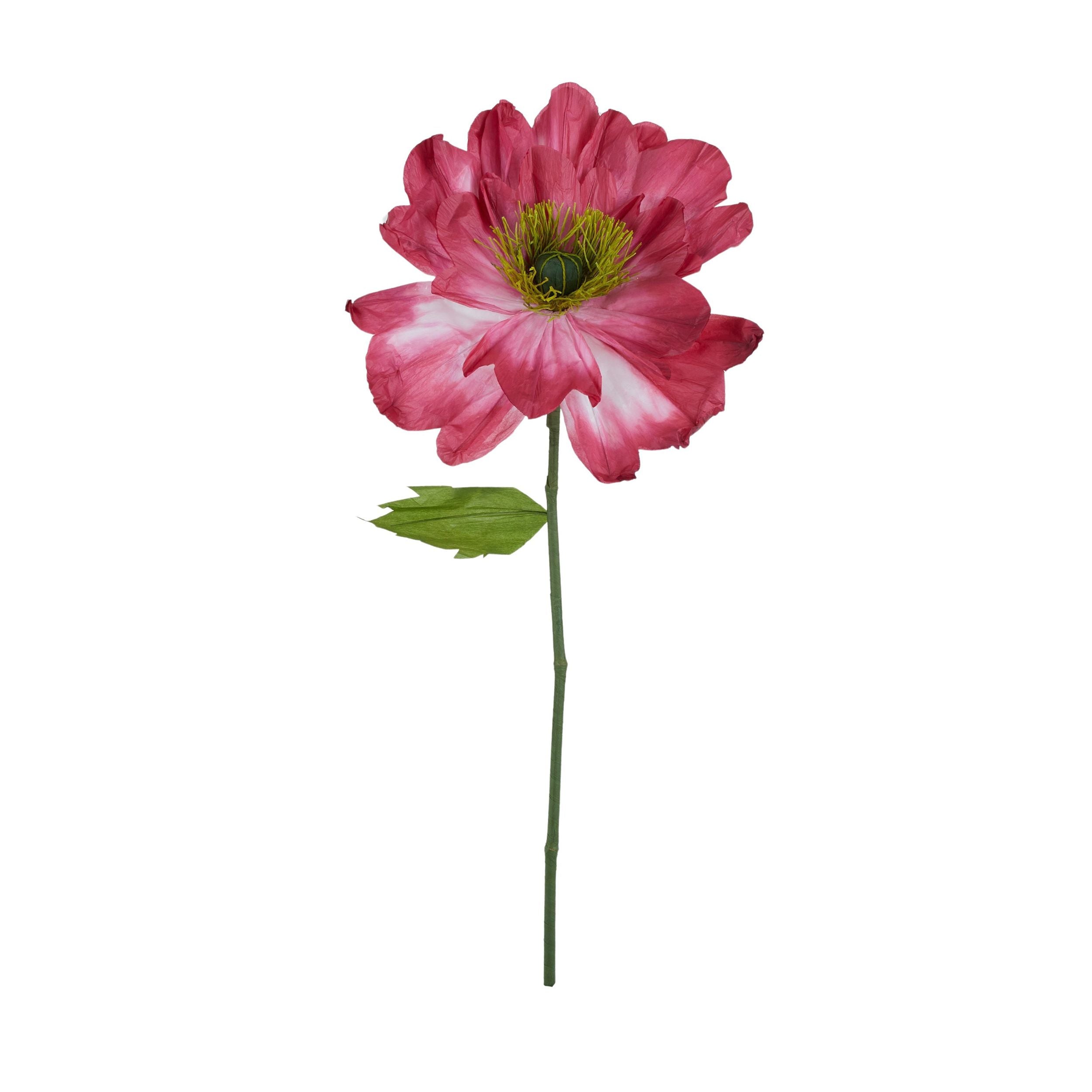 Life Botanic Poppy Paper Flower Claret/Pink