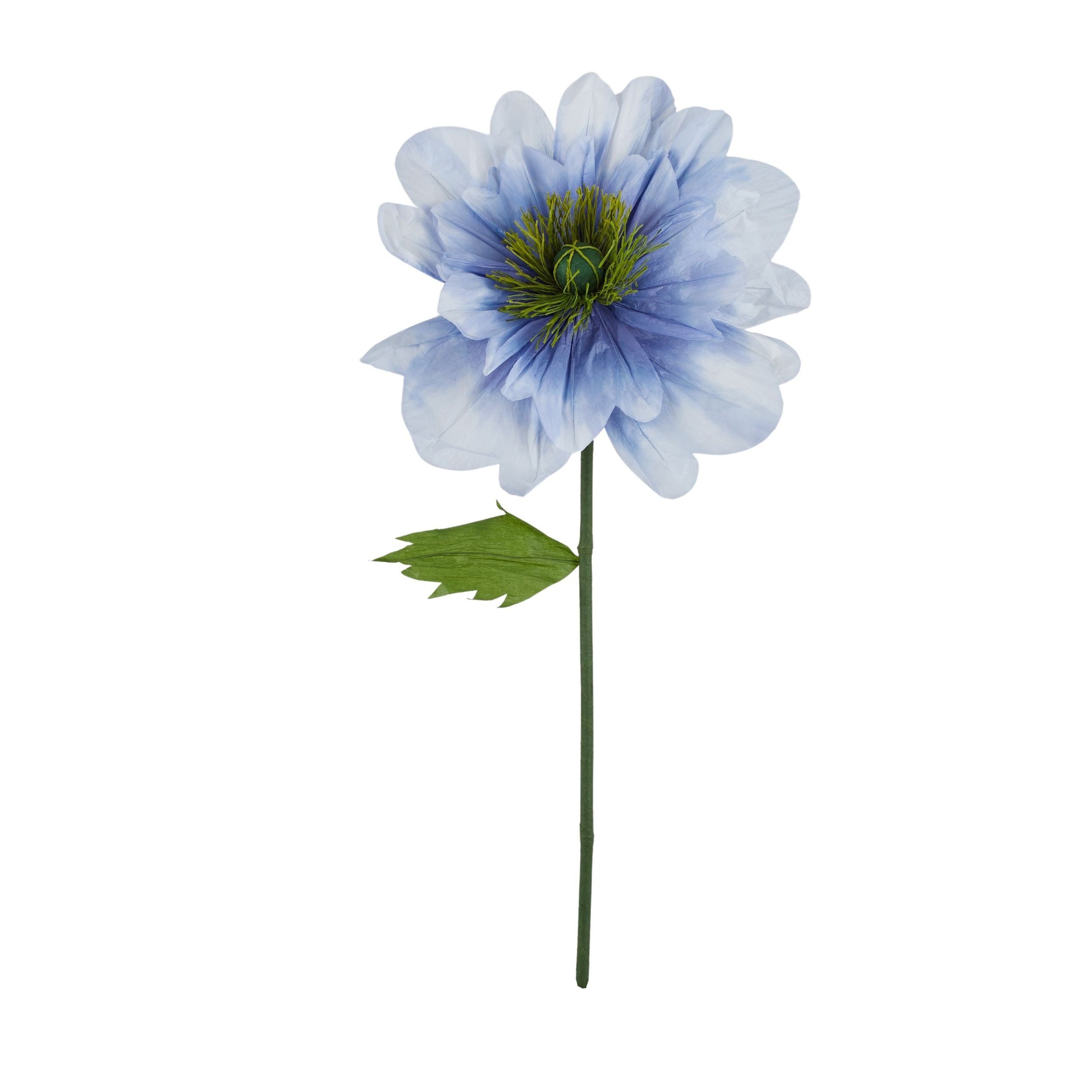 Life Botanic Poppy Paper Flower White/Blue