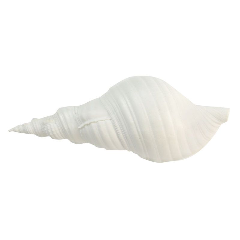 Coast To Coast Sea Snail Resin Shell 19x7x9cm White