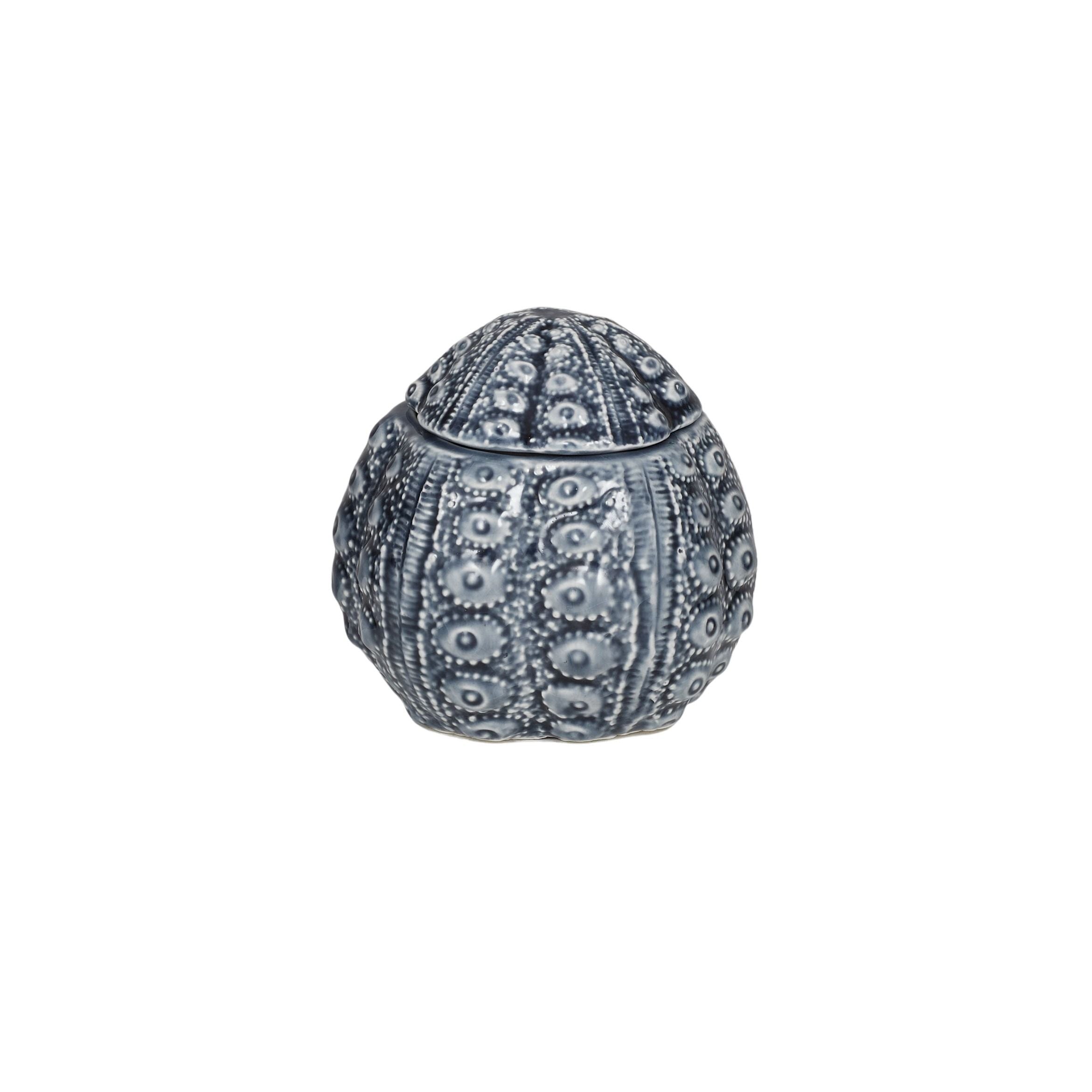 Coast To Coast Urchin Ceramic Trinket Jar Blue