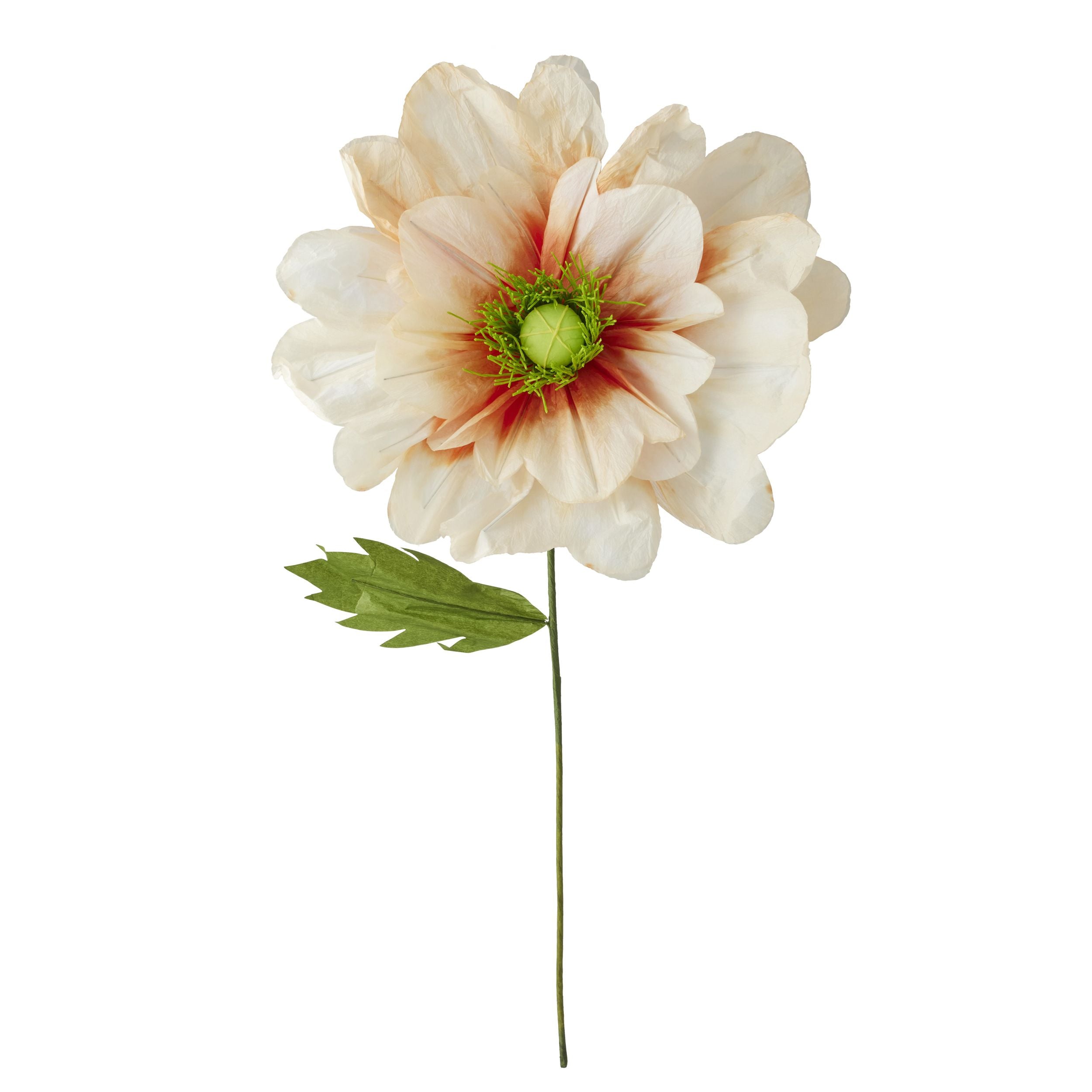 Life Botanic Poppy Paper Flower Peach