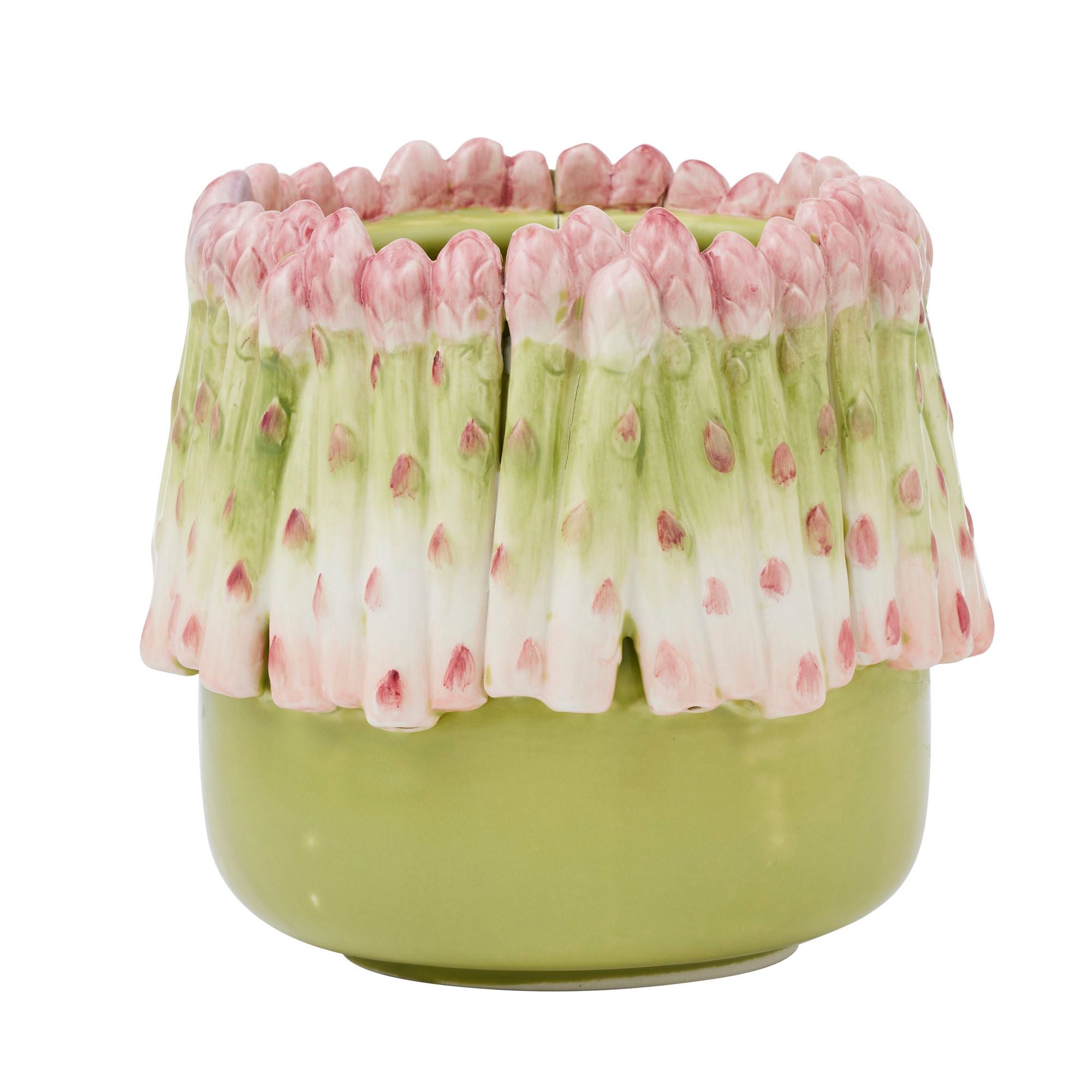 Life Botanic Asparago Ceramic Pot Multi