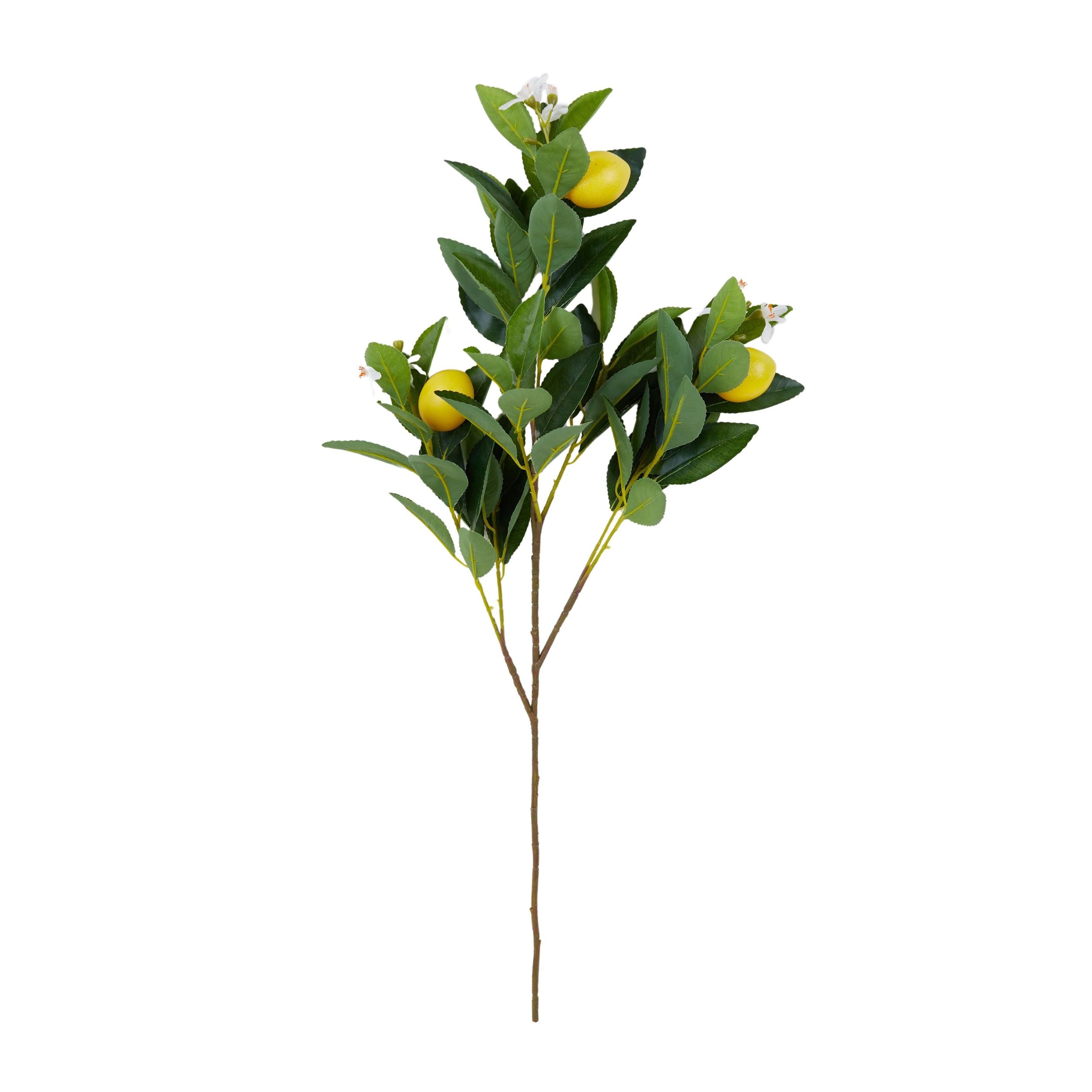 Life Botanic Lemon Stem Green/Yellow