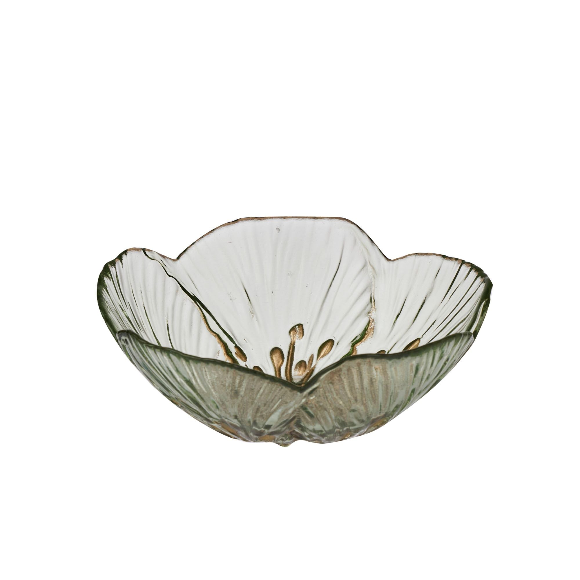 Coast To Coast Abigail Glass Bowl 16x6cm Mint