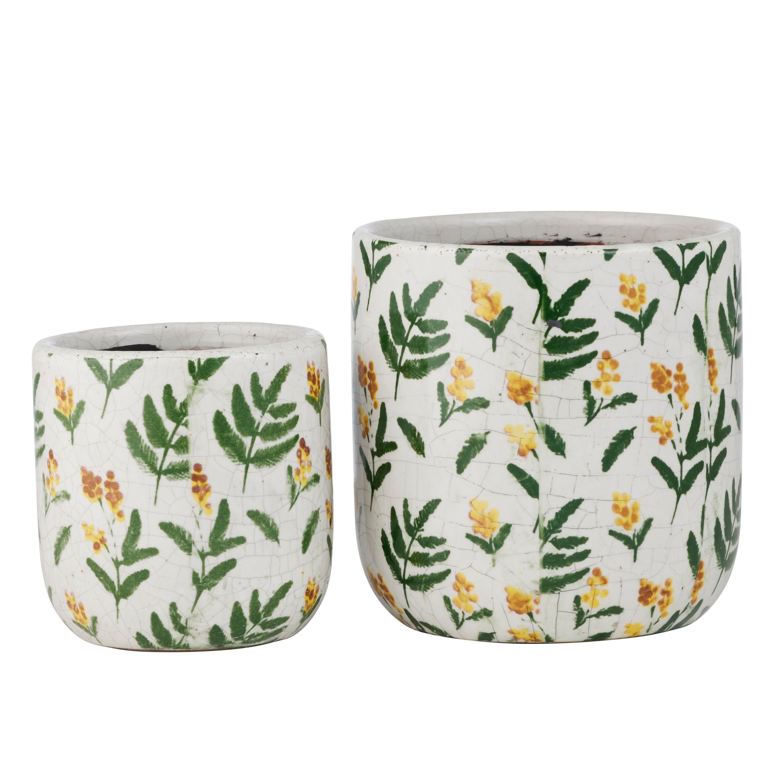 Life Botanic Wattle Set of 2 Ceramic Pots