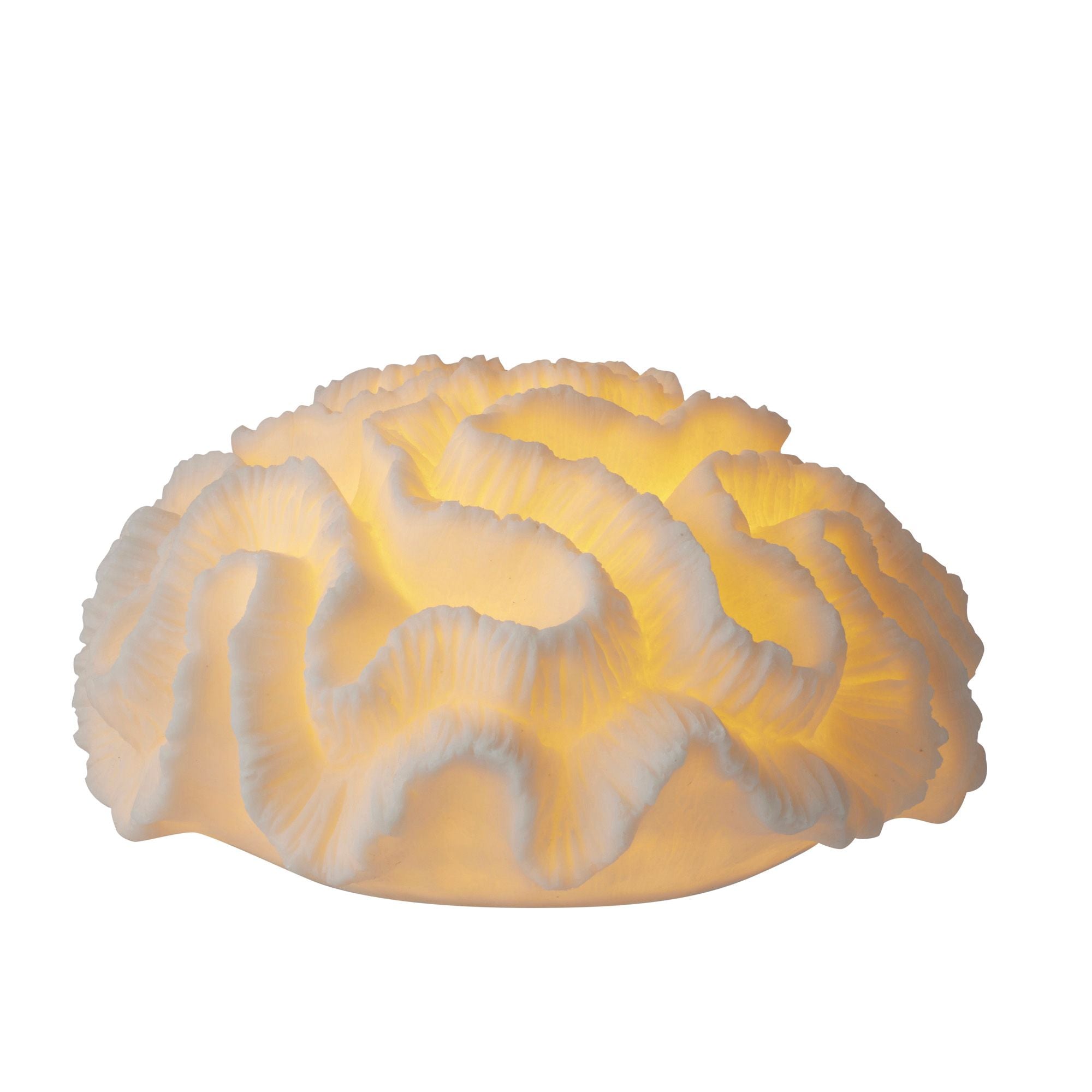 Life Botanic Floral Coral Resin O/Door Lamp