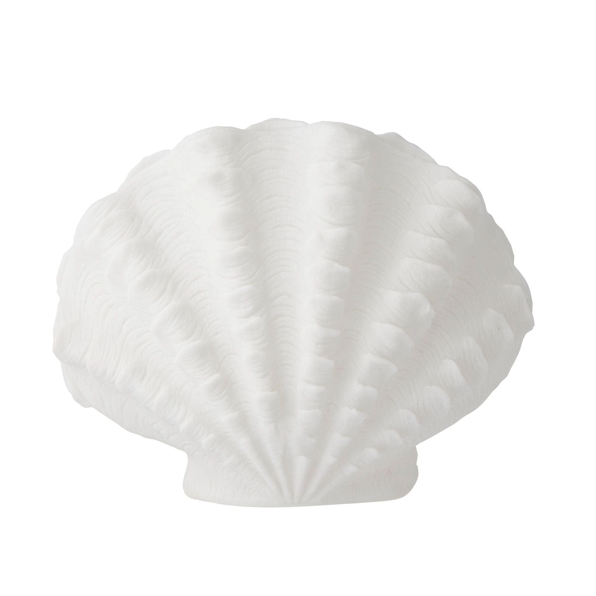 Life Botanic Scallop Resin O/Door Lamp
