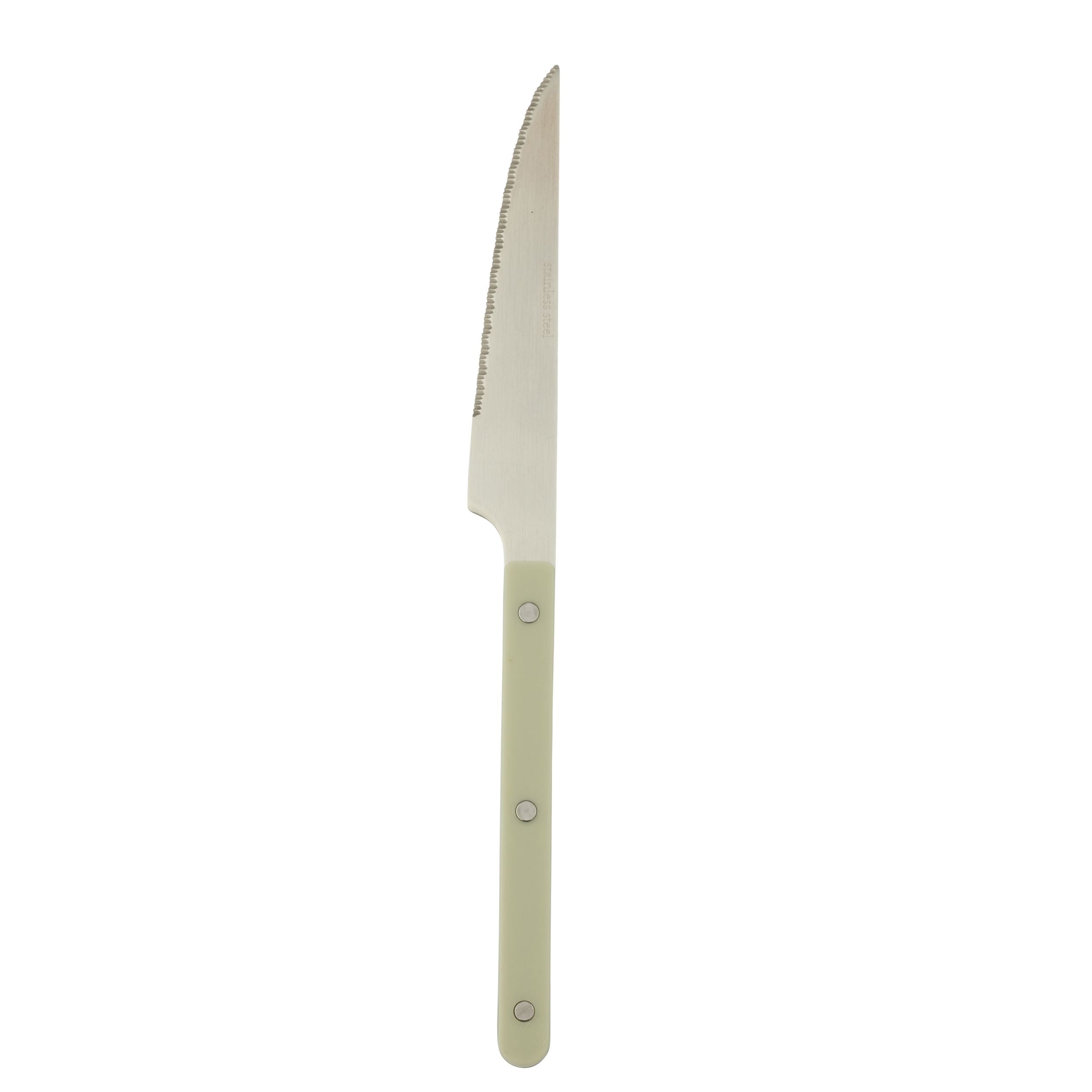 Assemble Remy Stainless Steel Table Knife Seafoam