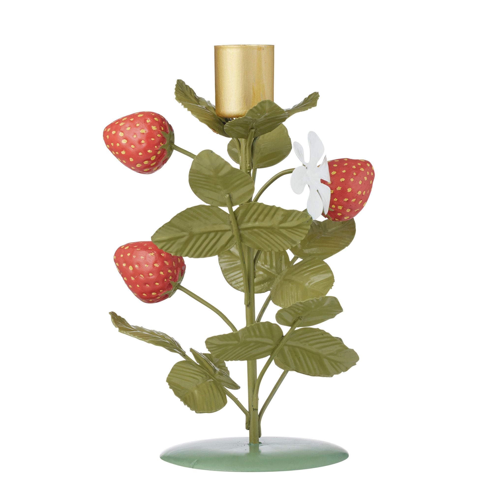Coast To Coast Fragolla Metal/Resin C'Holder