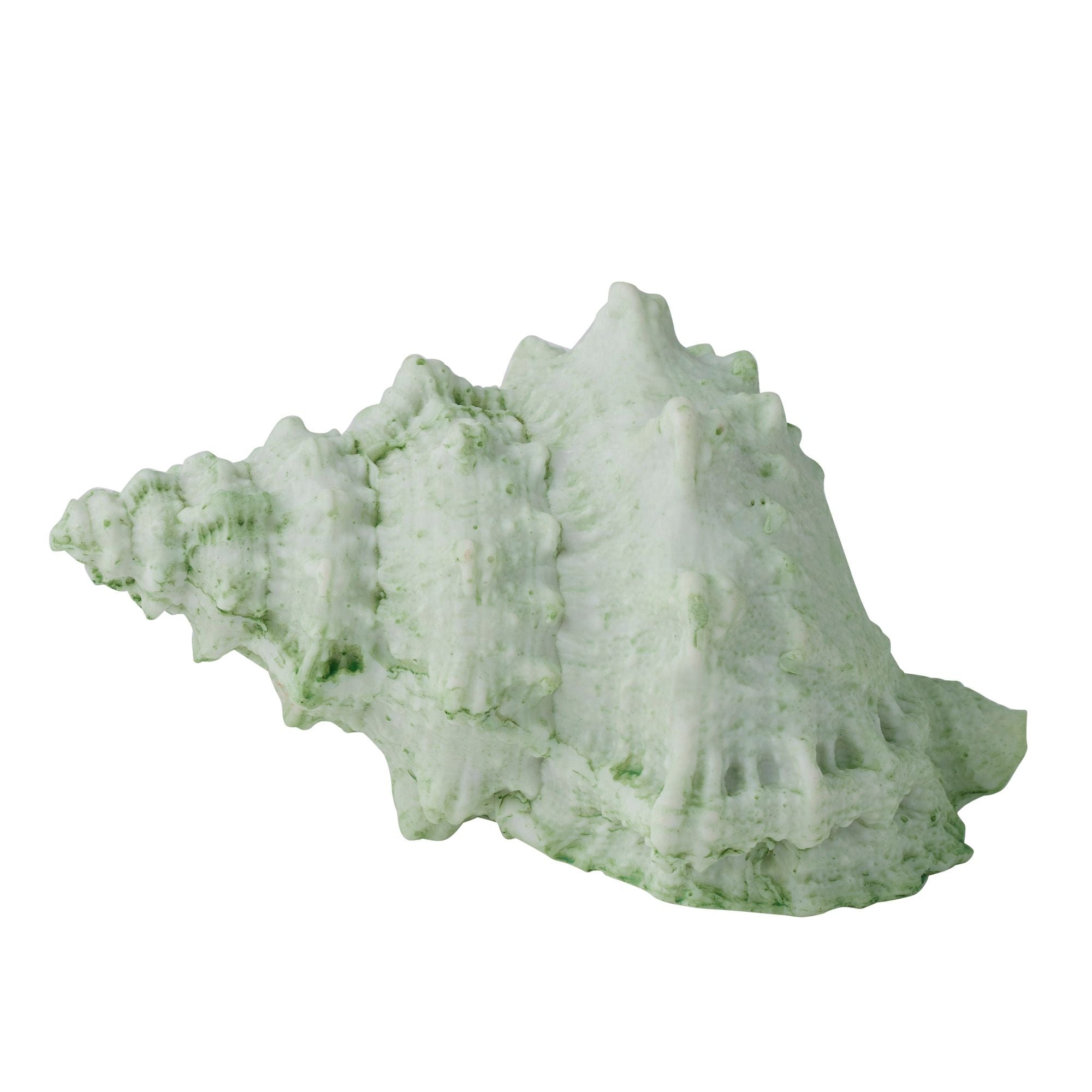 Coast To Coast Sea Snail Resin Shell 14x10x7cm Mint