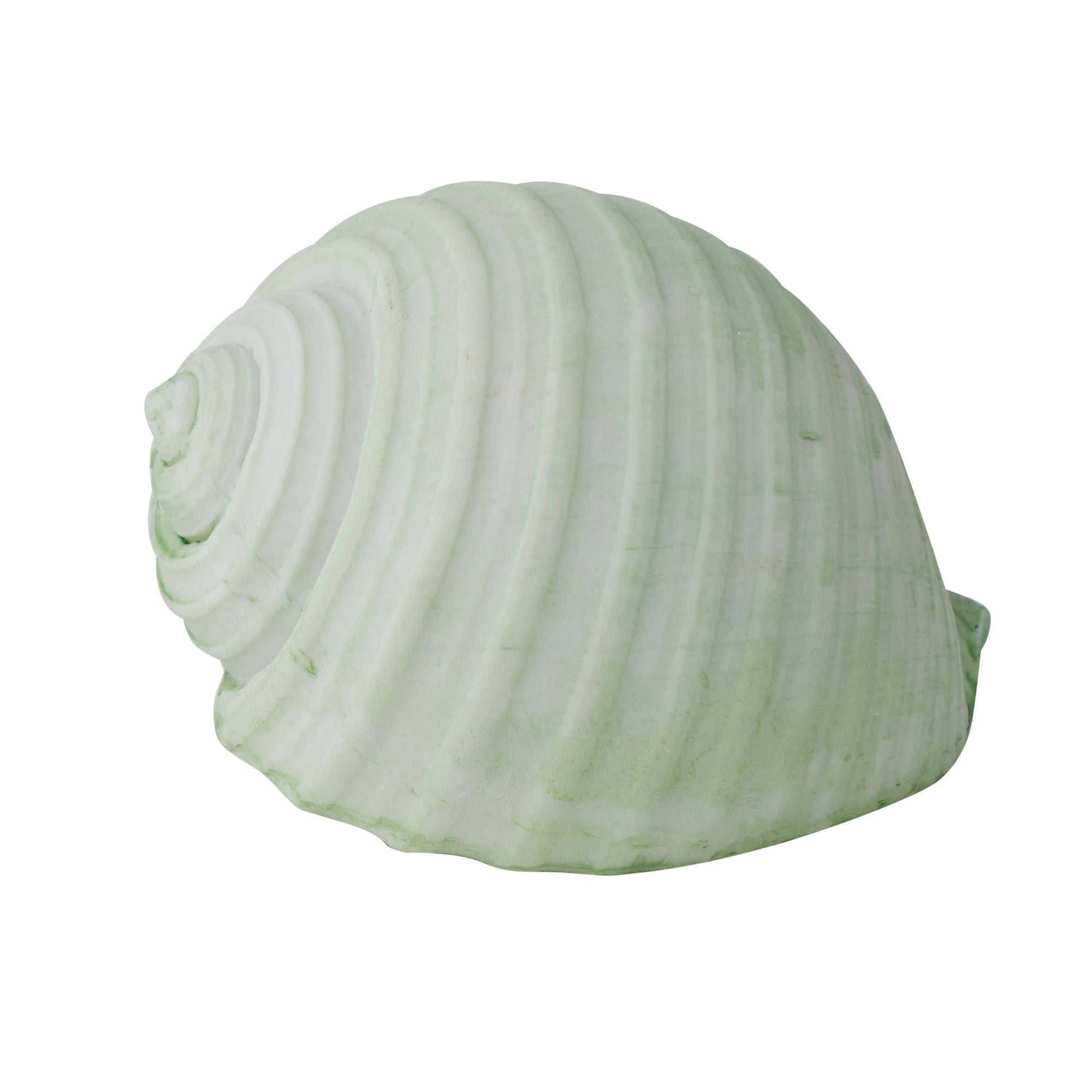 Coast To Coast Sea Snail Resin Shell 11x9x8cm Mint