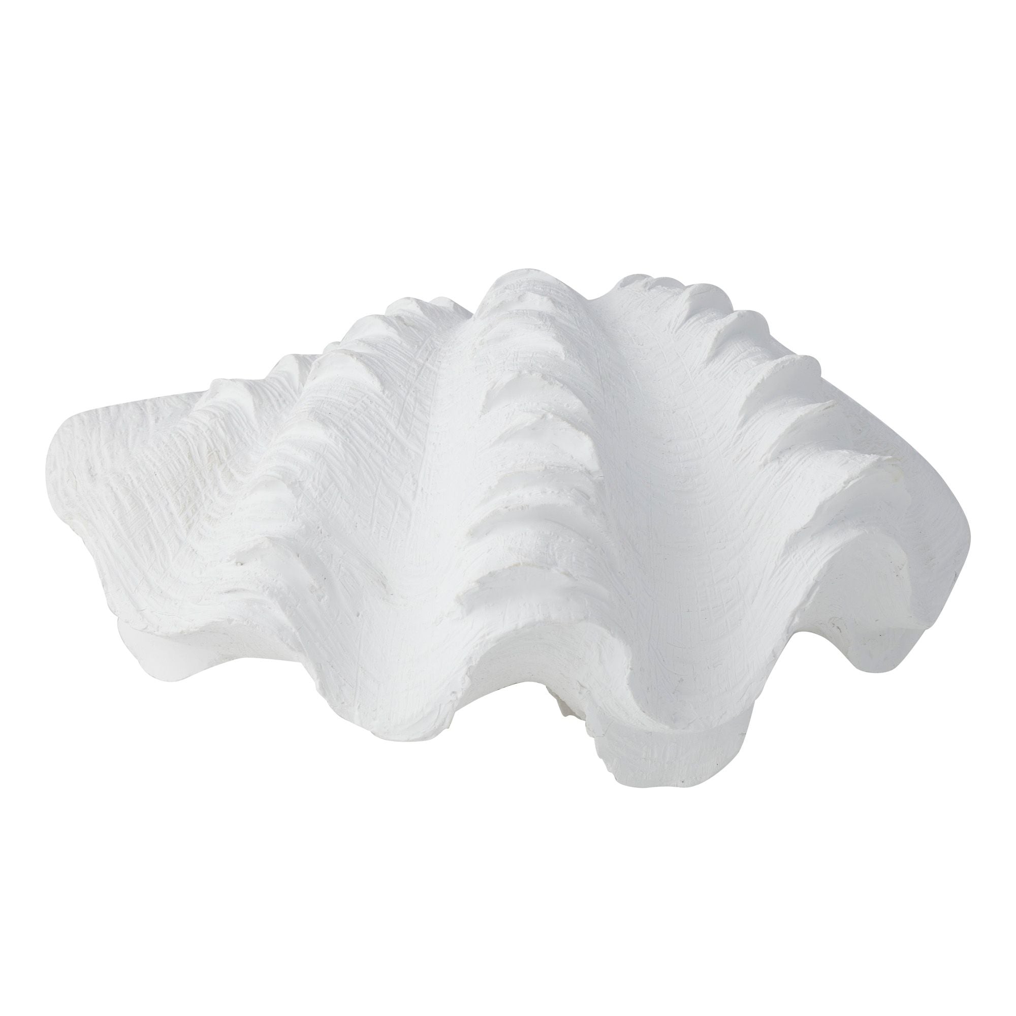 Coast To Coast Clam Resin Shell 28x19x14cm White