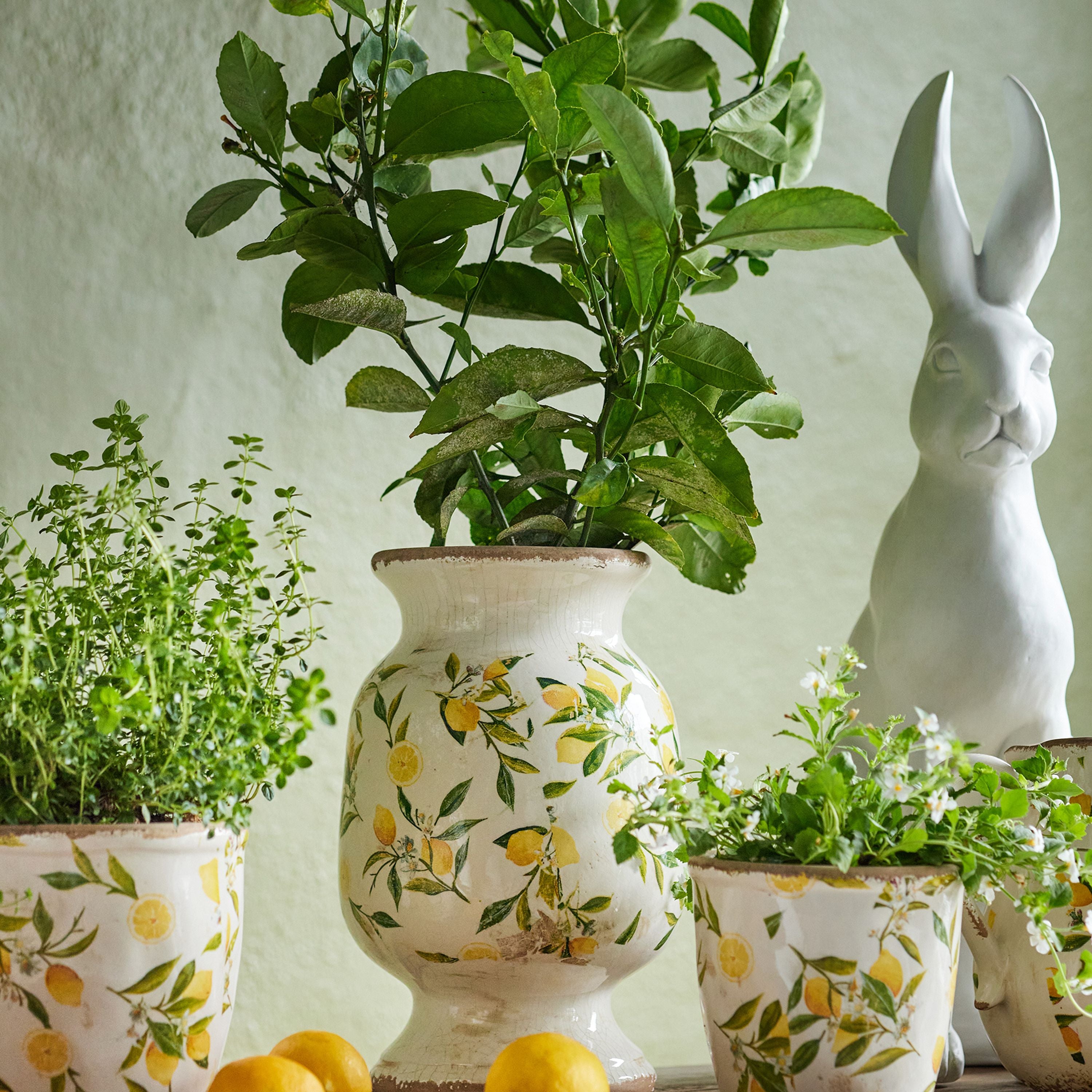 French Country Botanical Lemon Urn