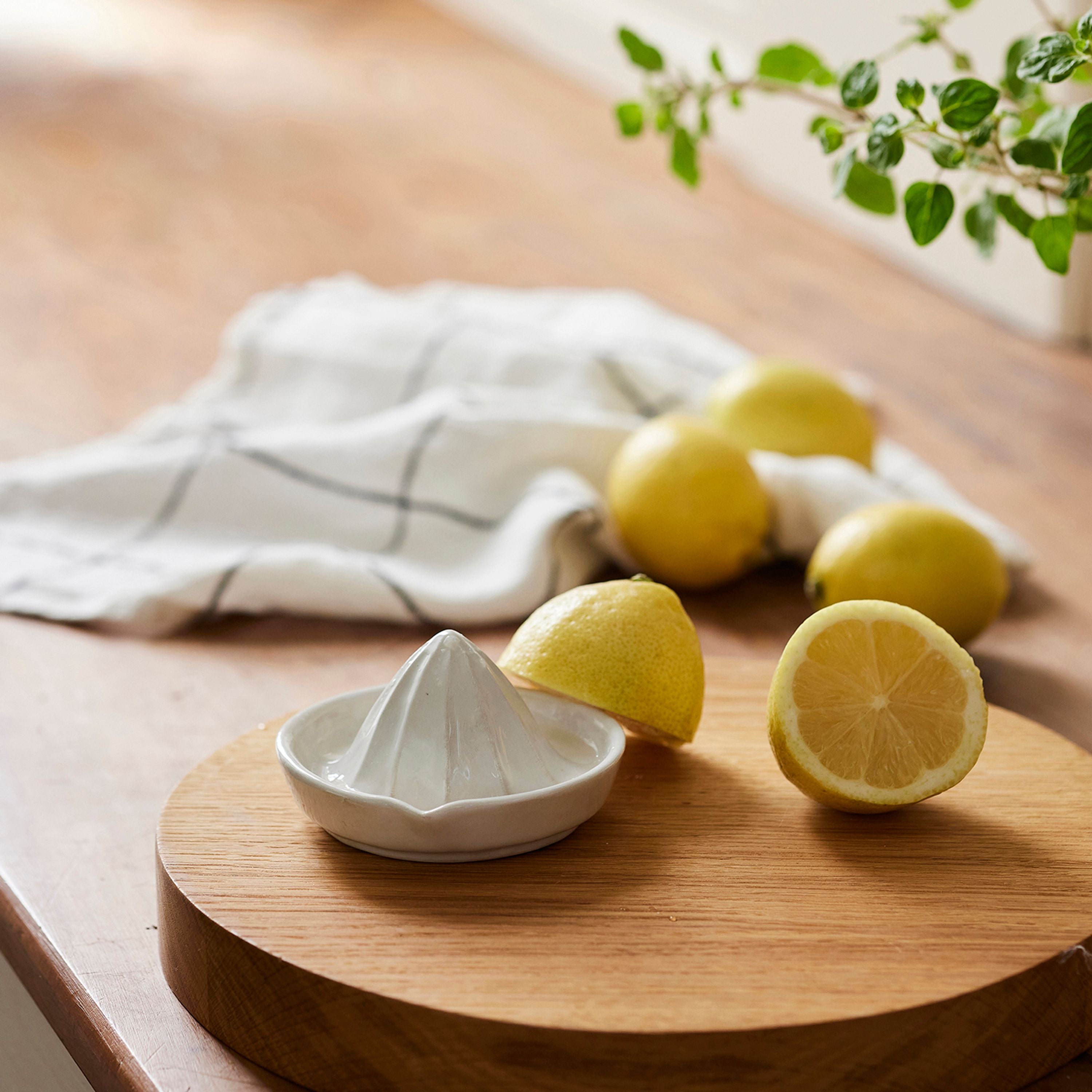 French Country Franco Lemon Squeezer