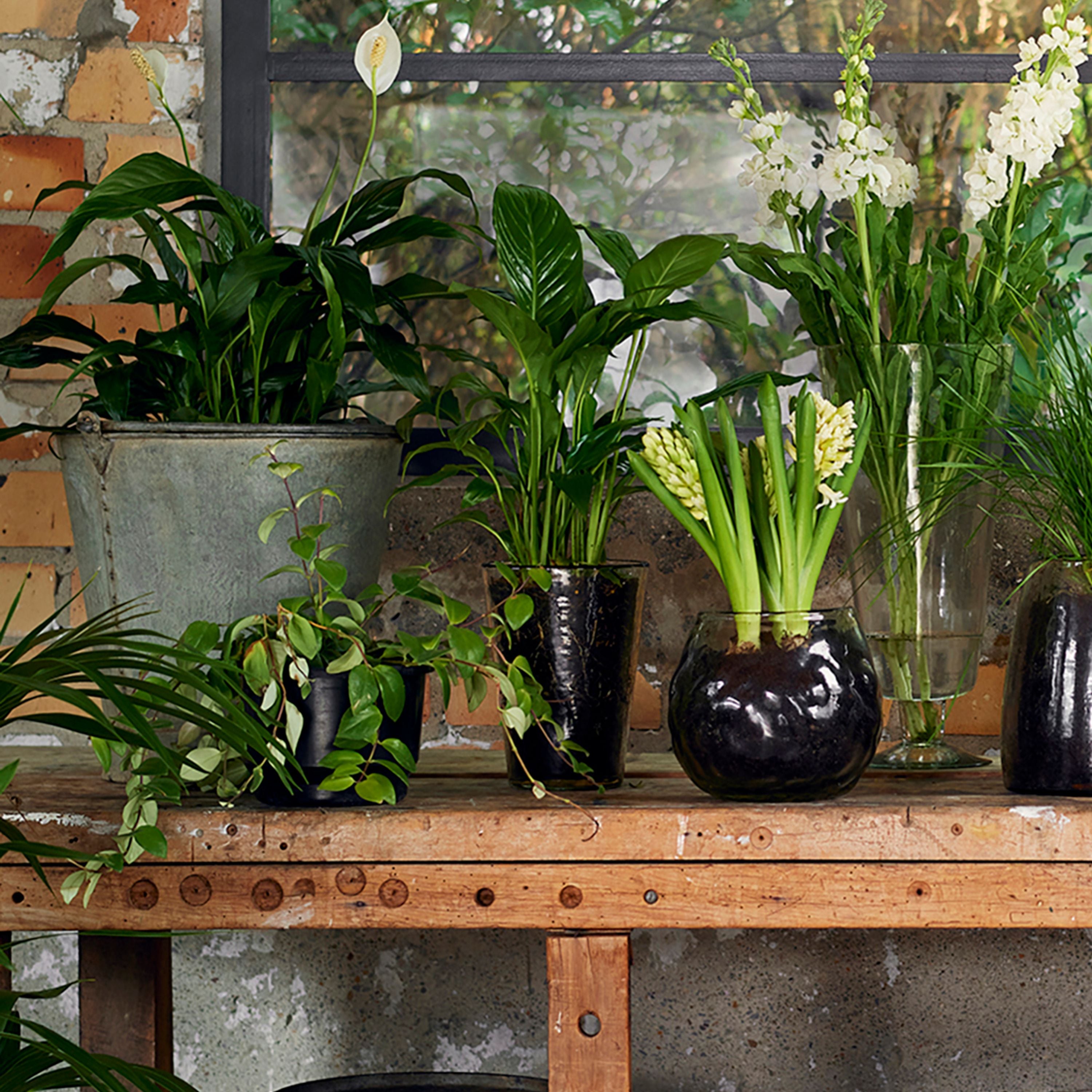 French Country Dappled Clear Conical Vase