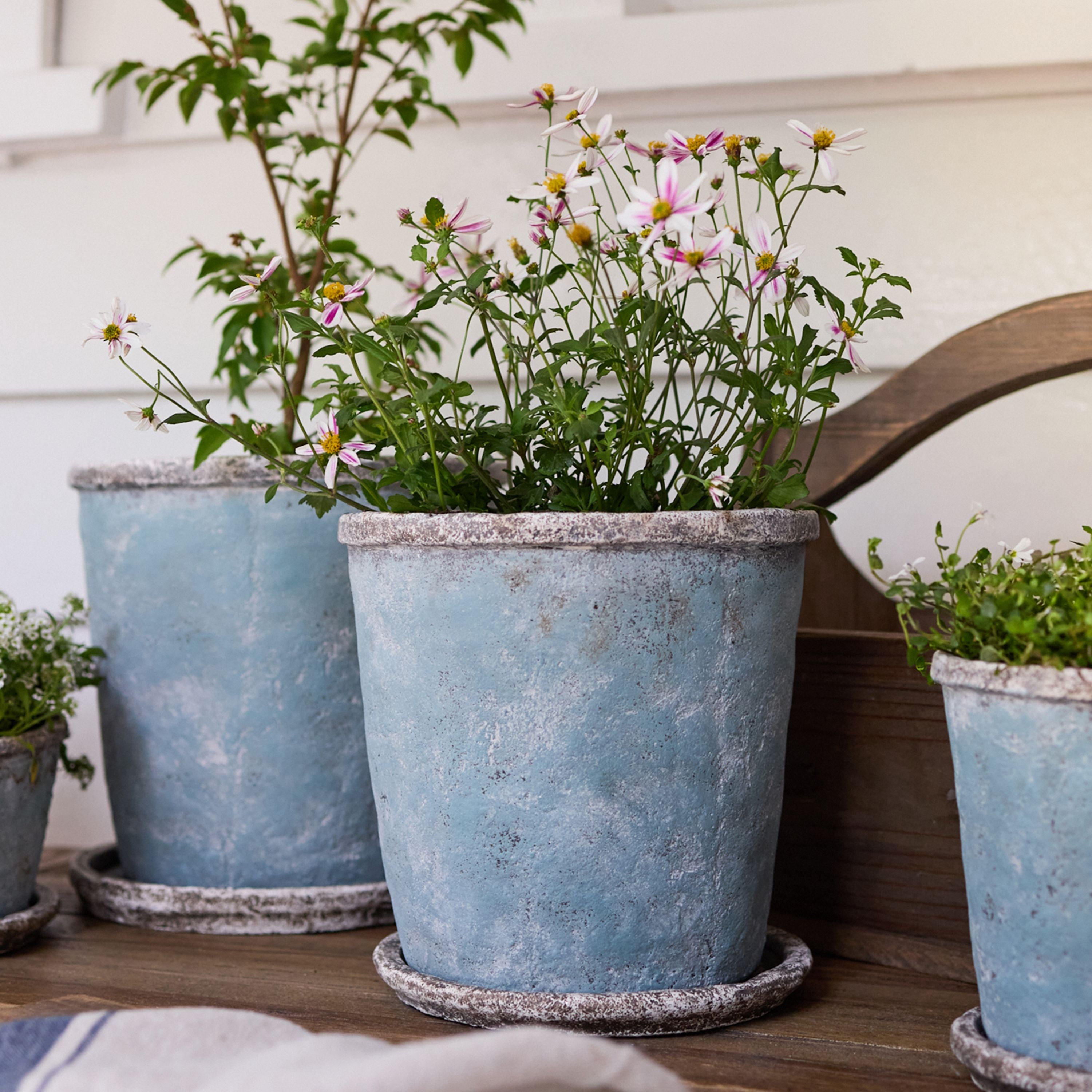 French Country Sea Blue Plant Pot & Saucer Medium