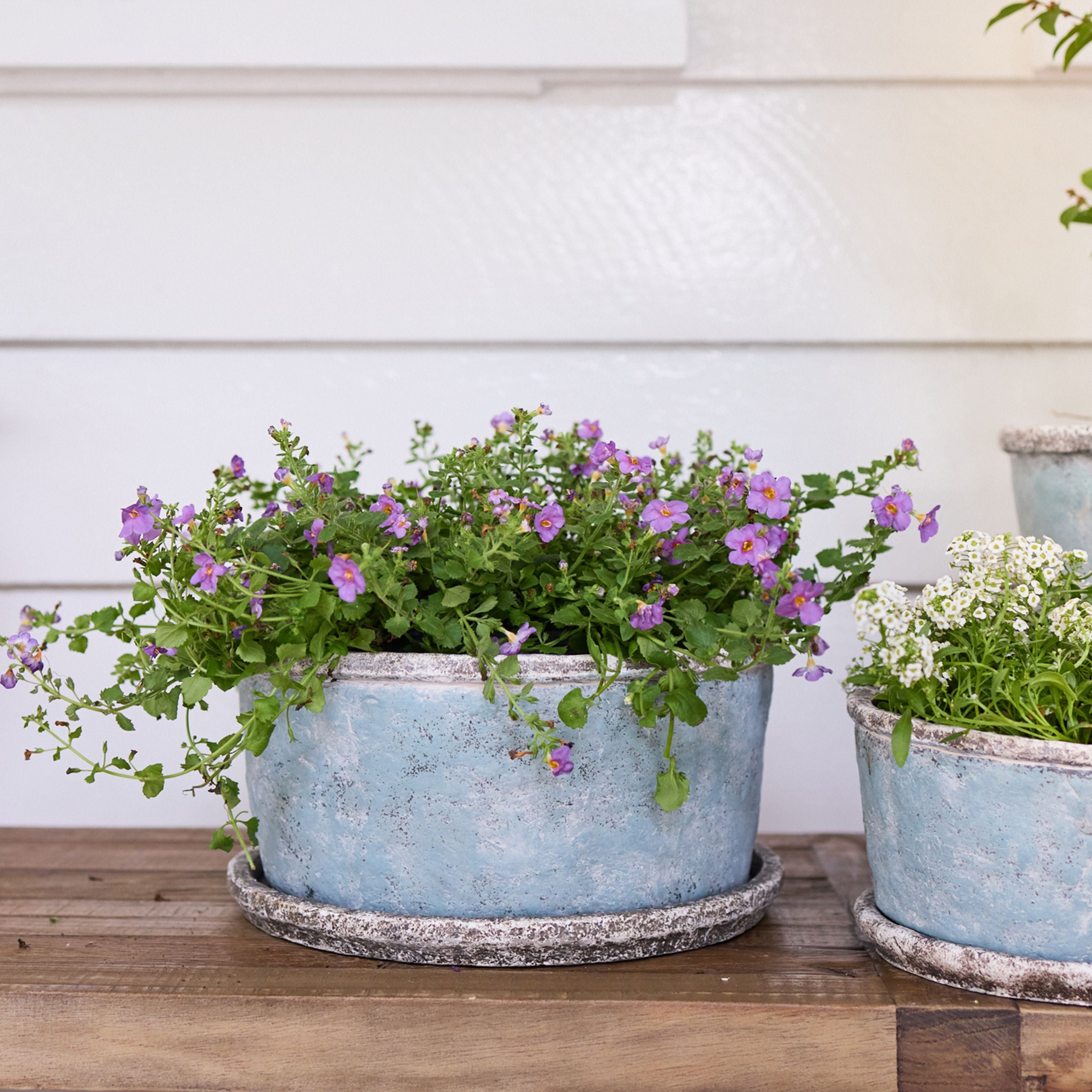 French Country Sea Blue Wide Plant Pot & Saucer Large