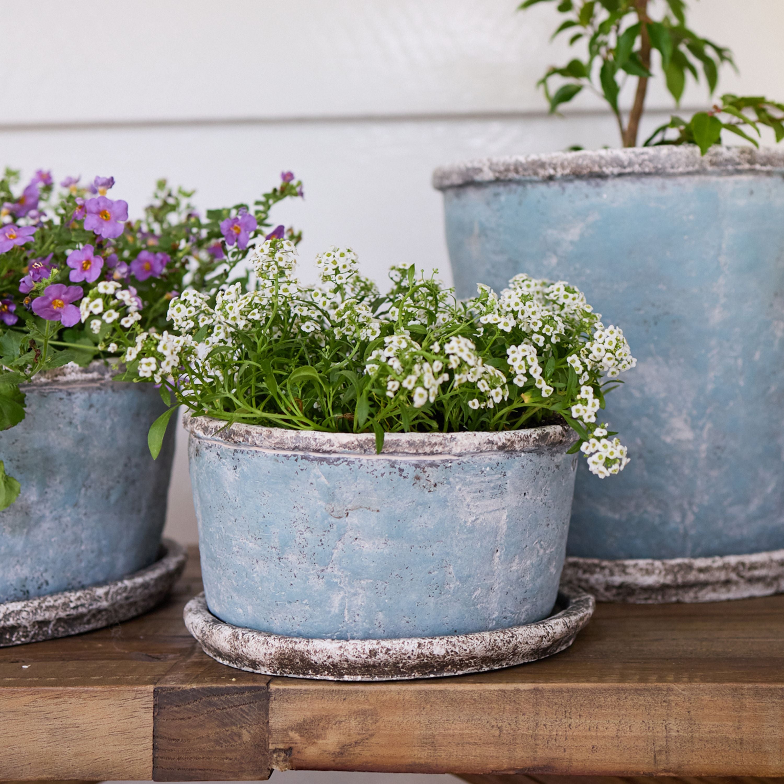 French Country Sea Blue Wide Plant Pot & Saucer Small