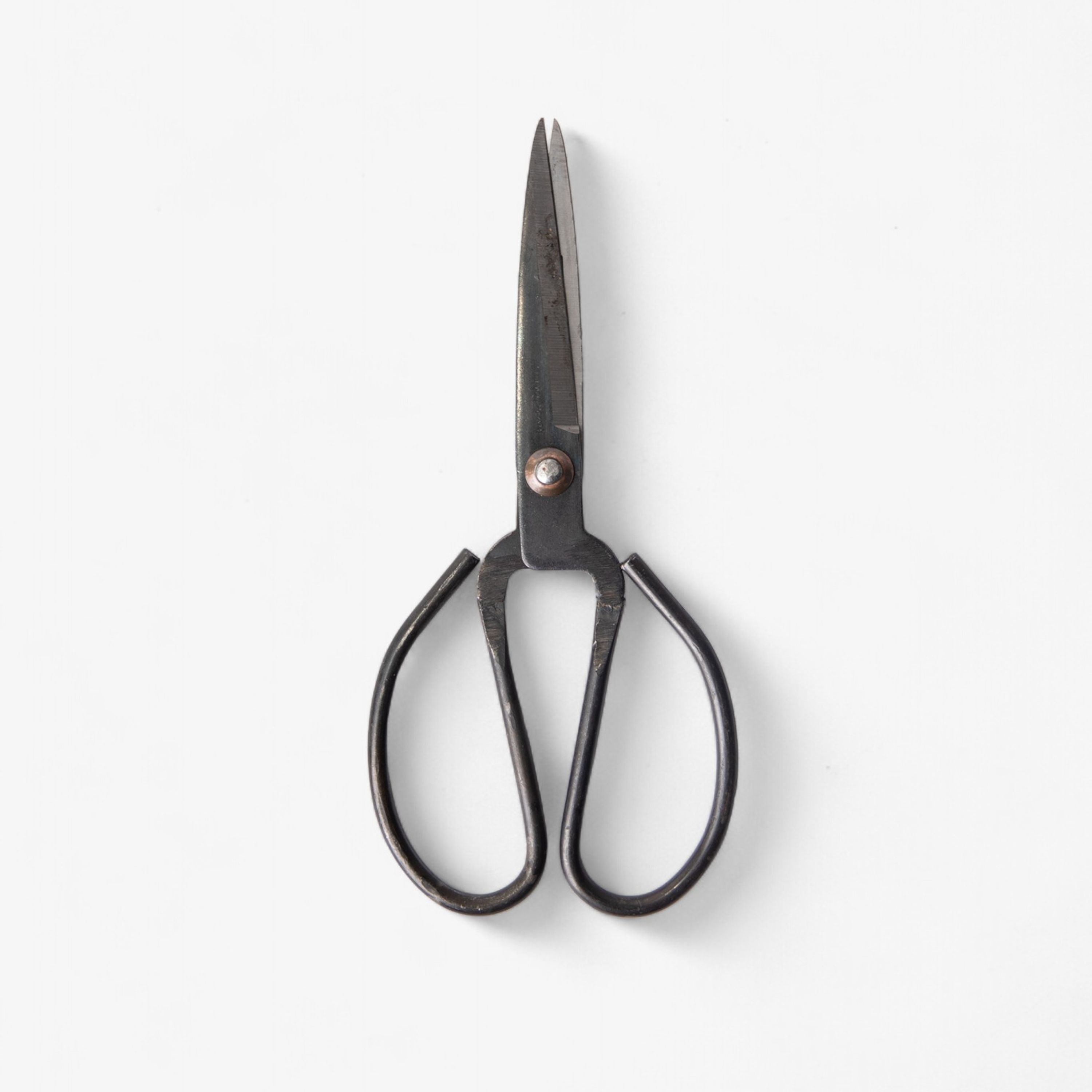 French Country Black Herb Scissors Large